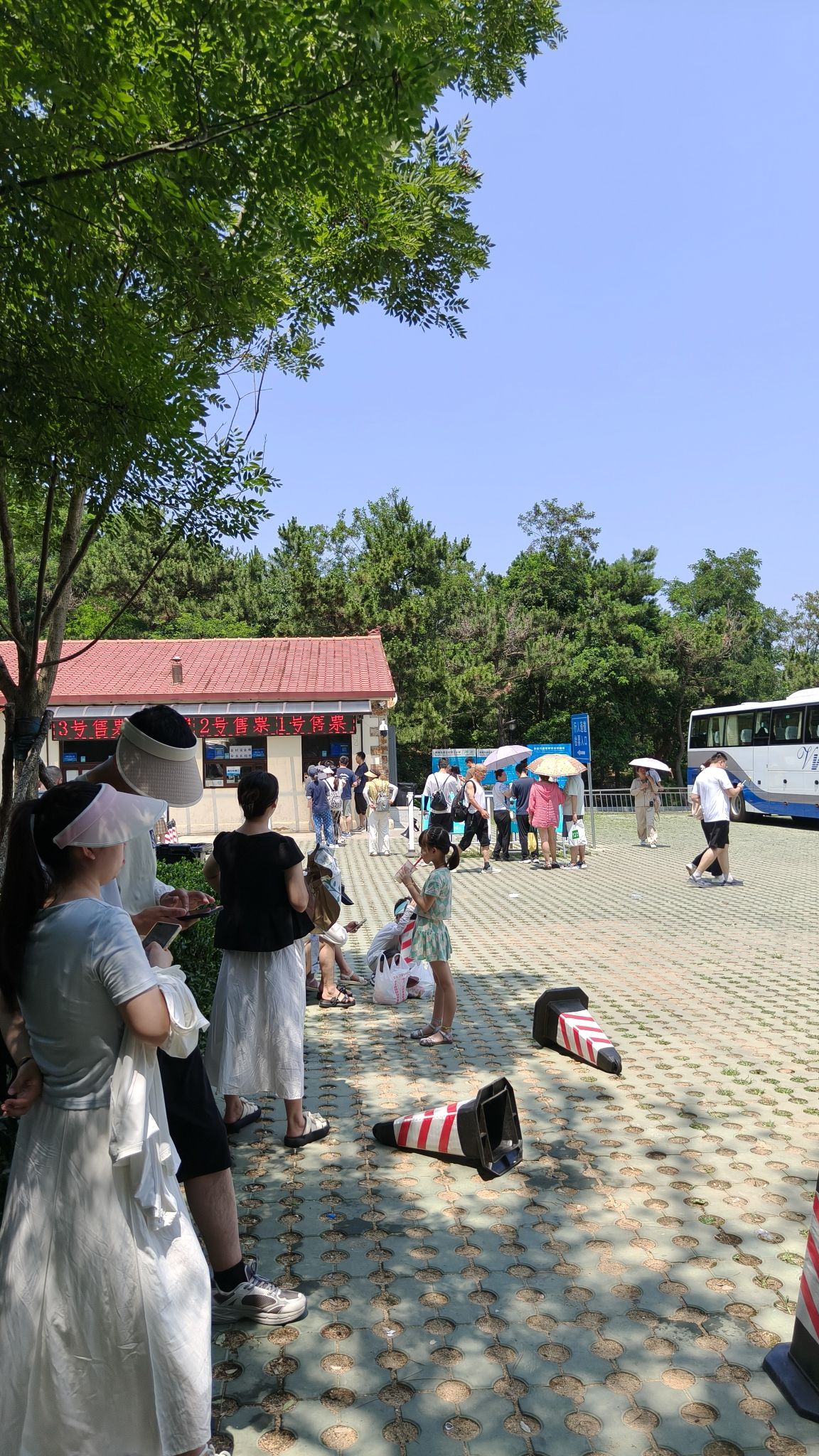 棒棰岛风景区旅行图片 2