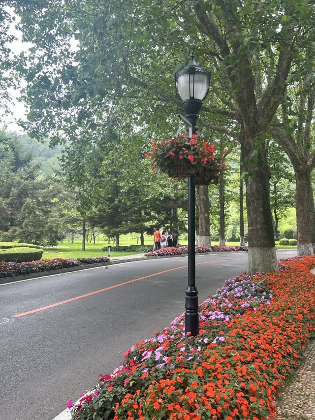 棒棰岛风景区旅行图片 3