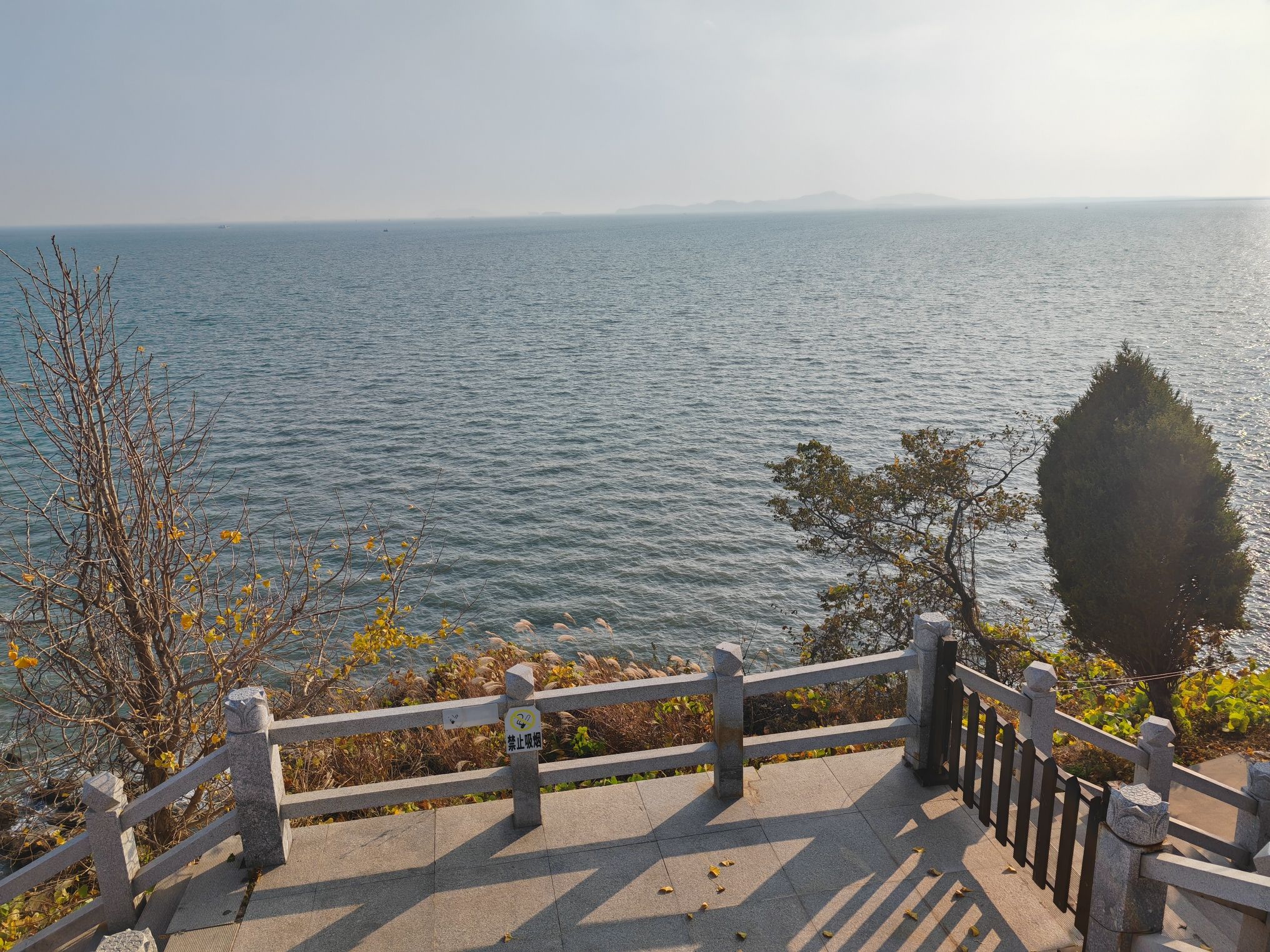 蛤蜊岛旅游度假区旅行图片 1