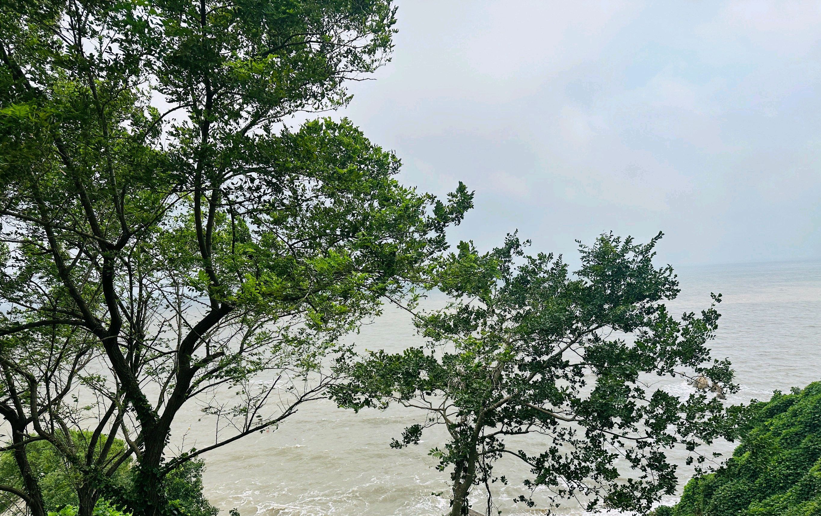 蛤蜊岛旅游度假区旅行图片 2