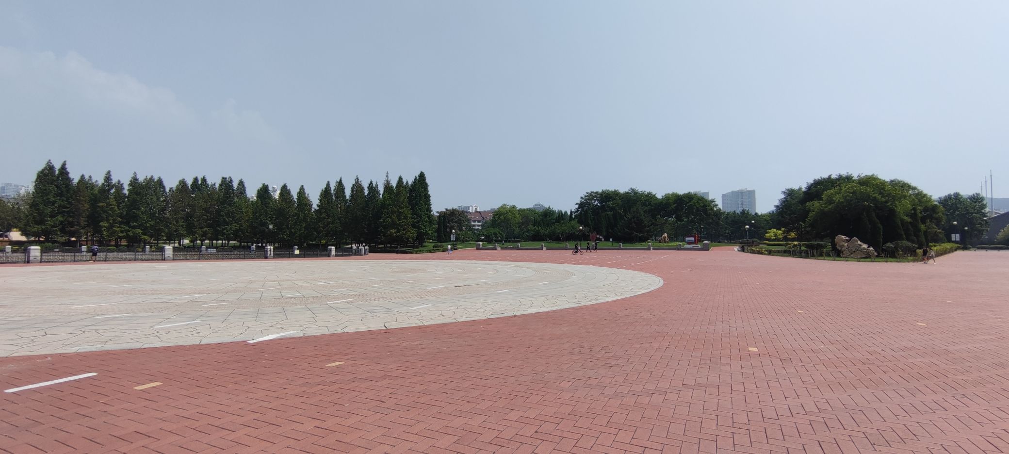 金普新区体育公园旅行图片 1