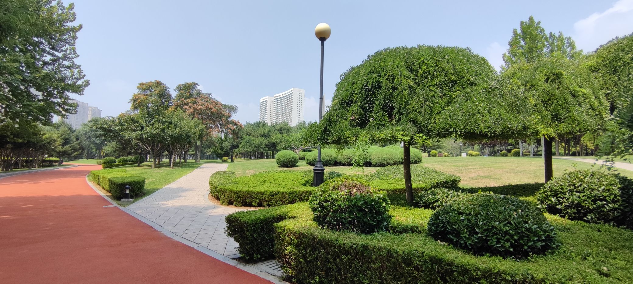金普新区体育公园旅行图片 3