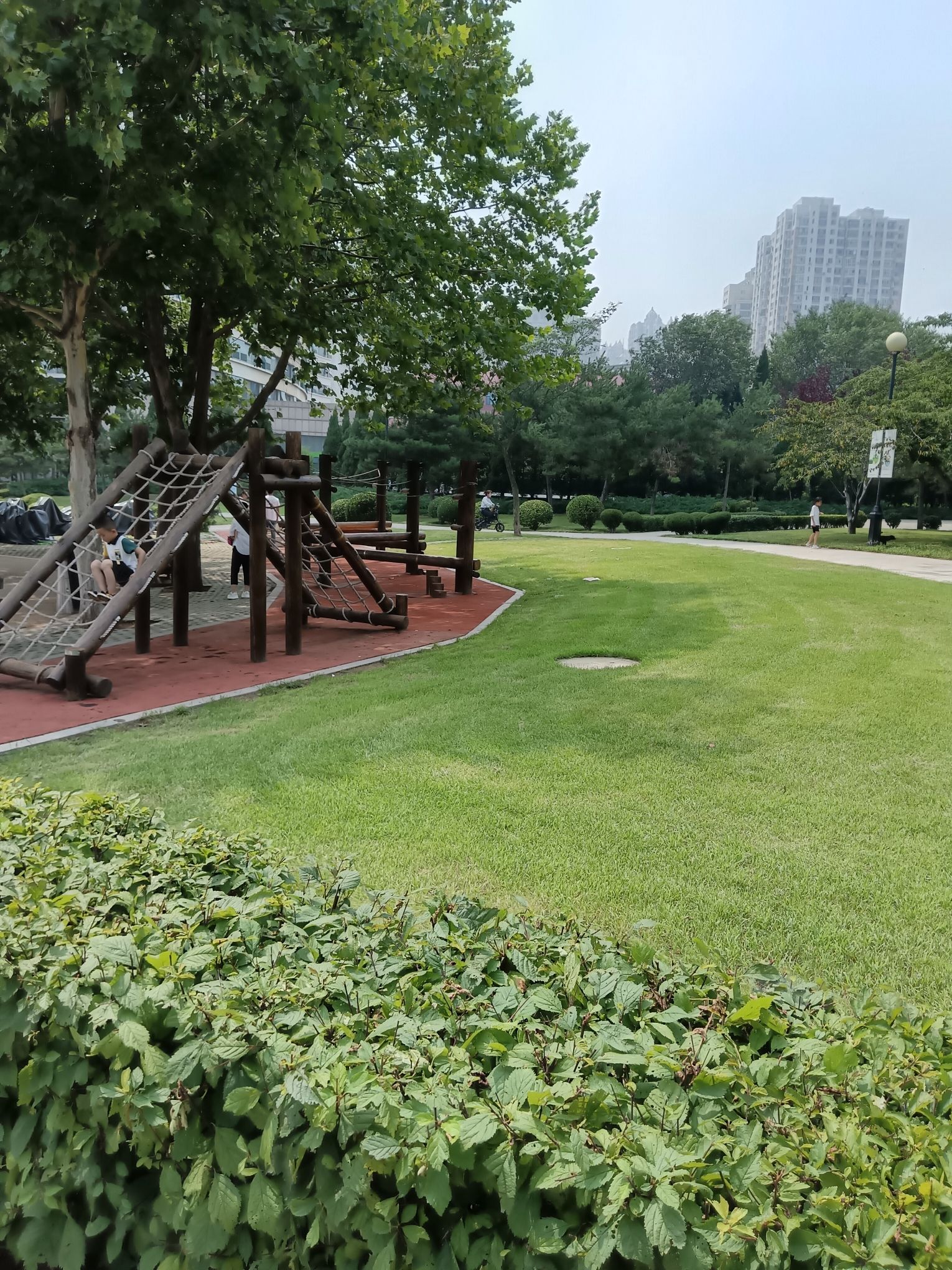 金普新区体育公园旅行图片 3