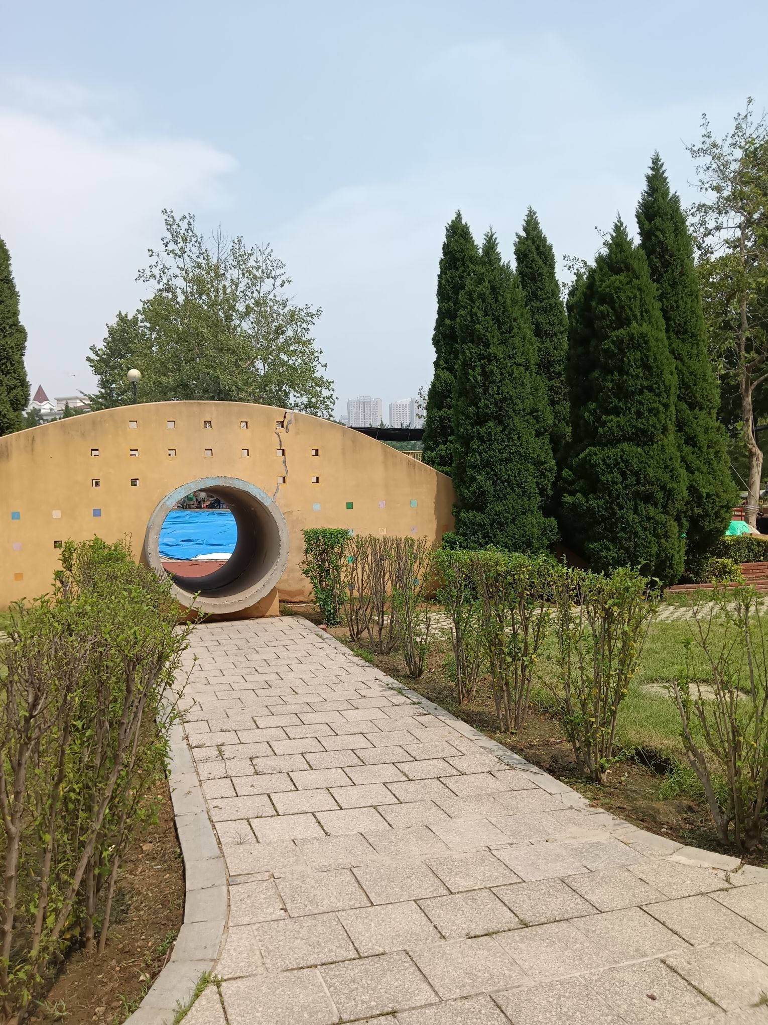 金普新区体育公园旅行图片 2