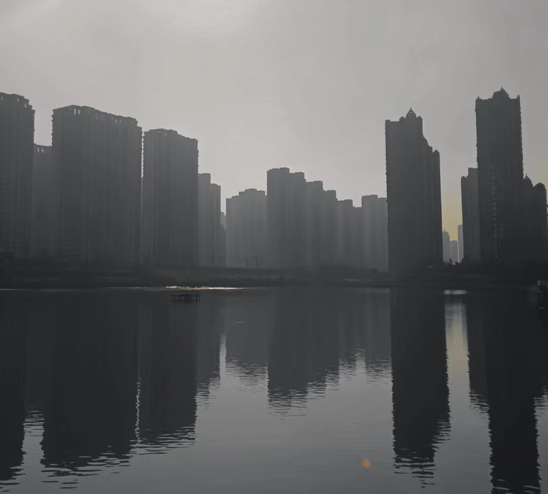 金普新区体育公园旅行图片 3
