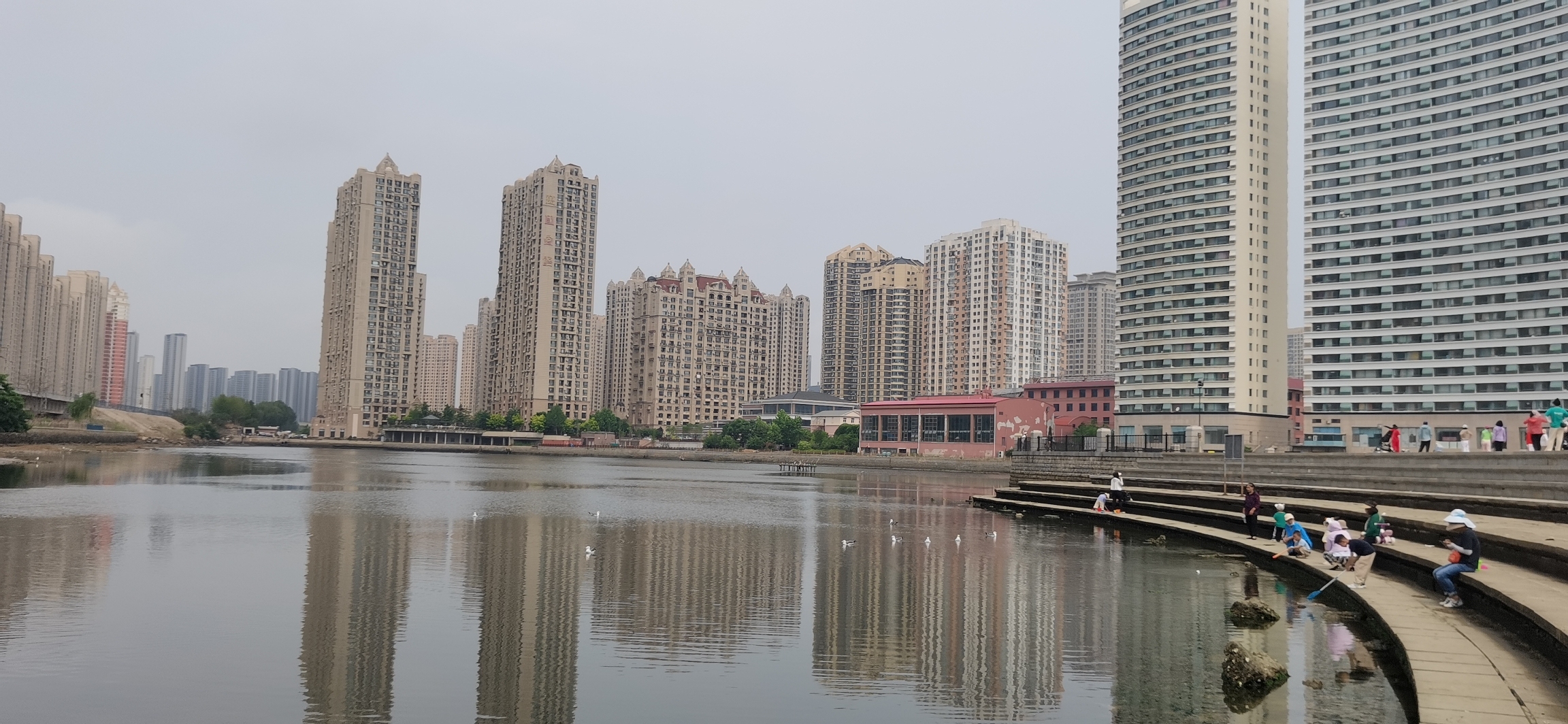 金普新区体育公园旅行图片 2