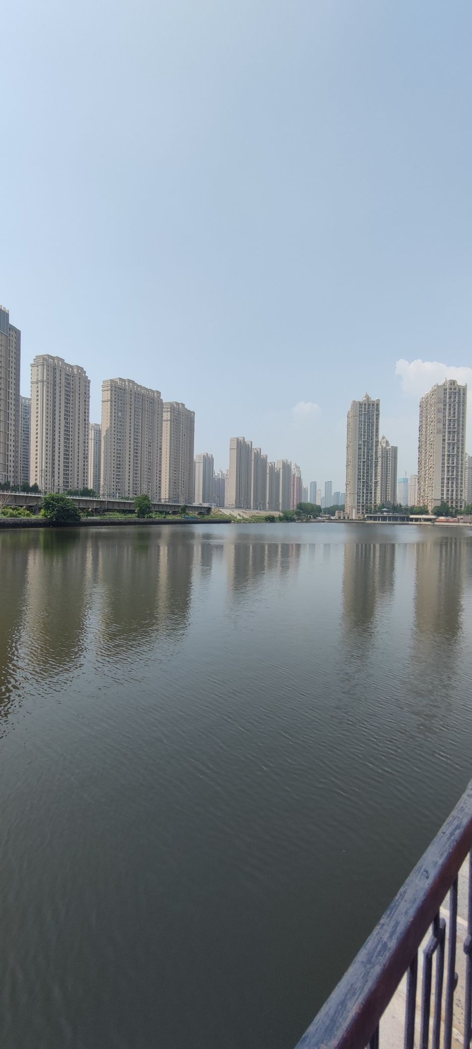 金普新区体育公园旅行图片 2
