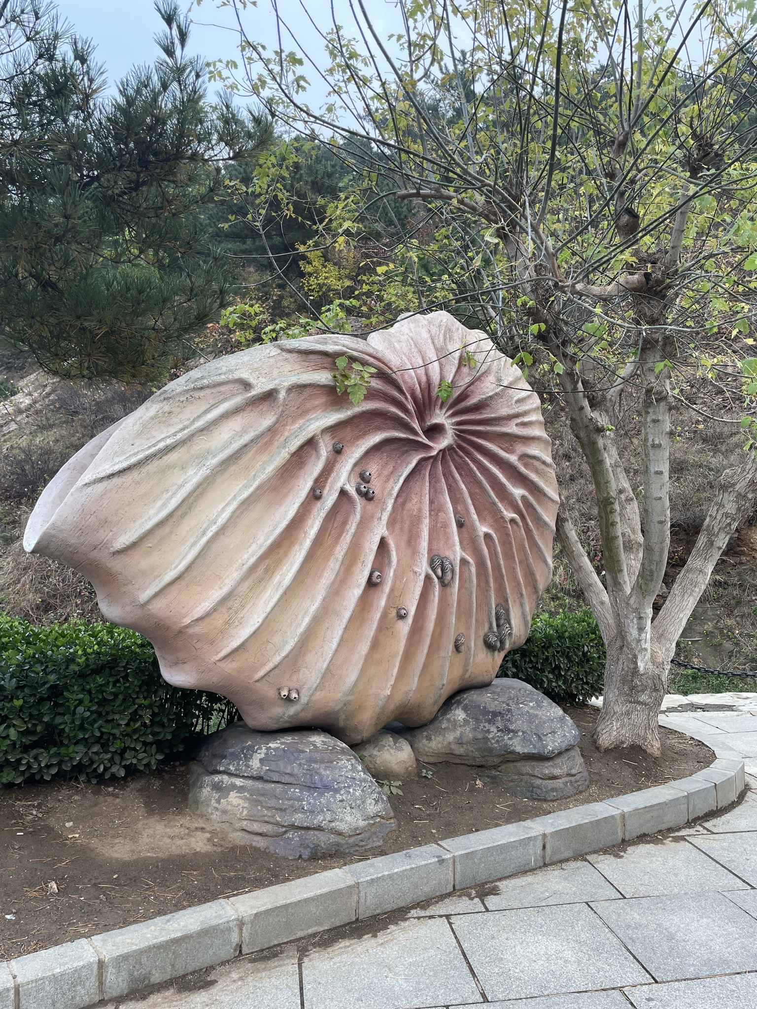 海之韵公园旅行图片 1