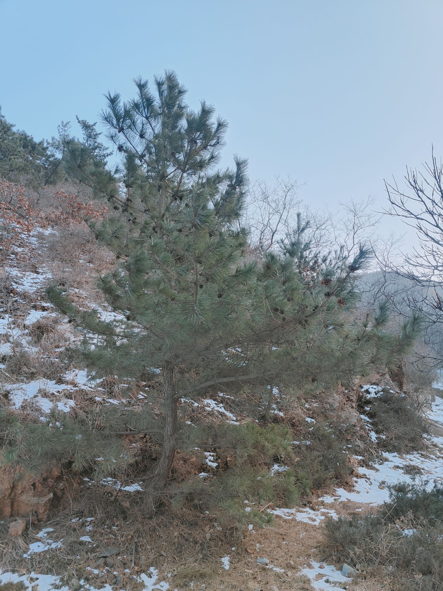 海之韵公园旅行图片 2