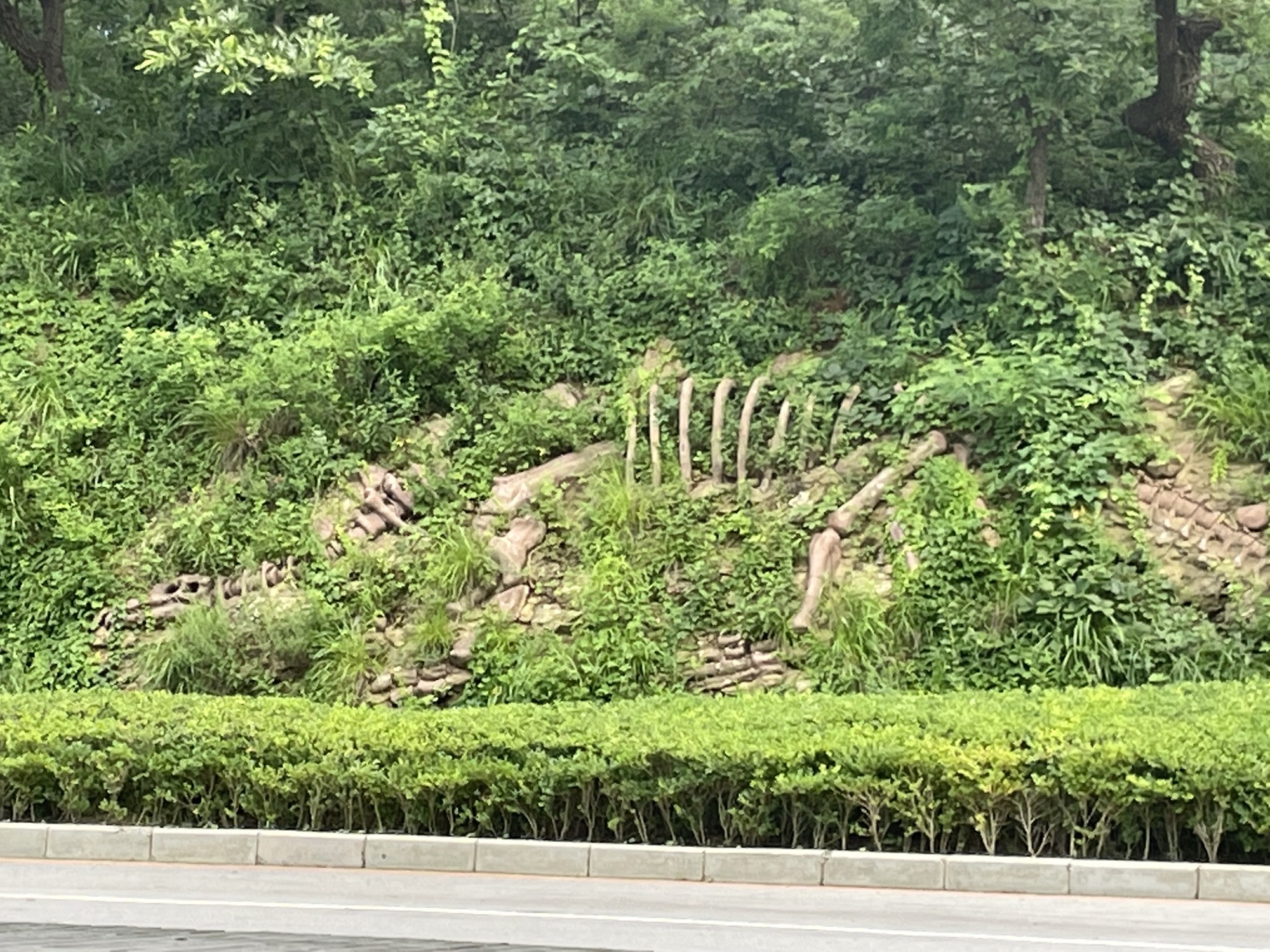 海之韵公园旅行图片 3