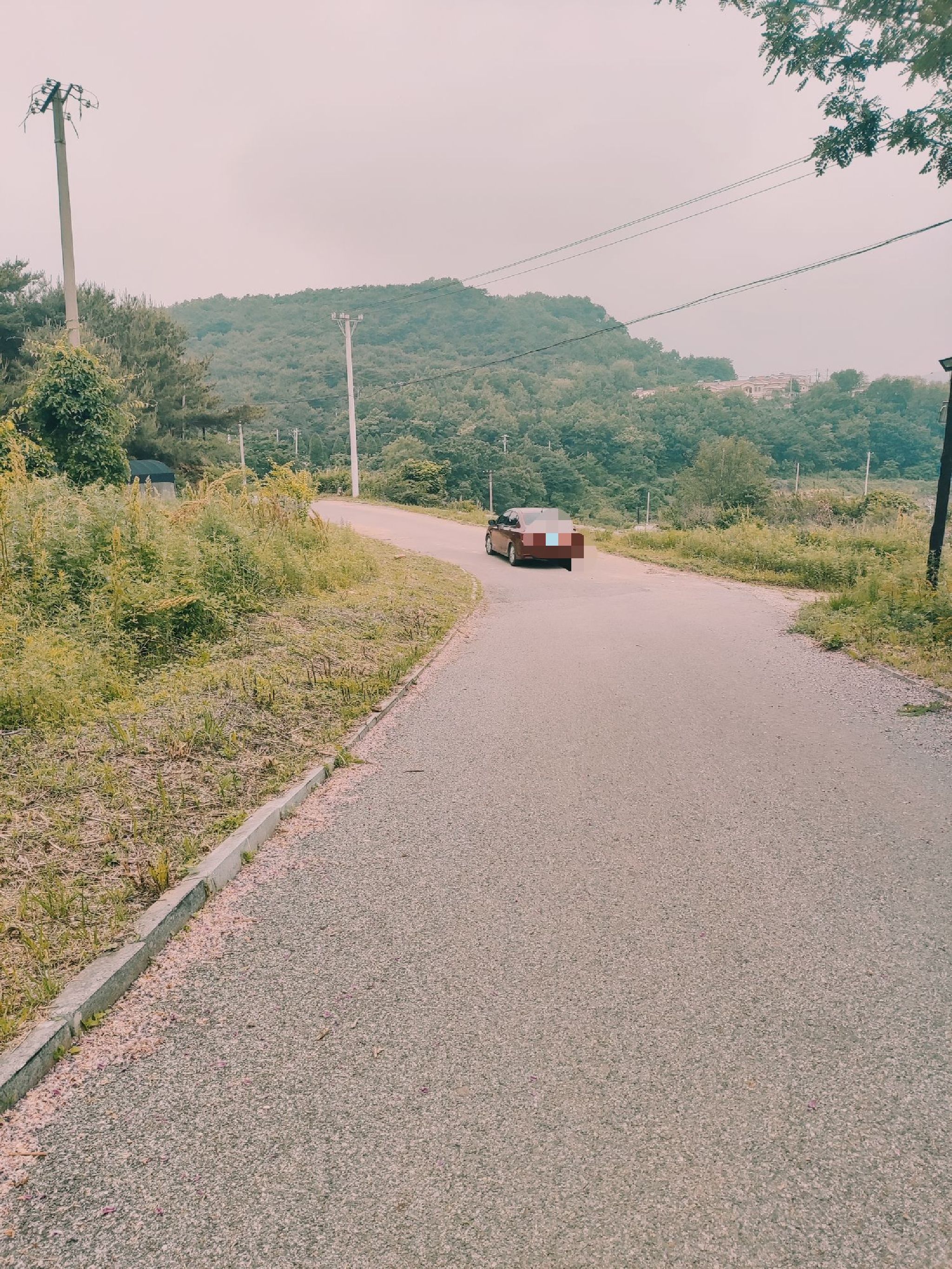 大连黑岛旅游度假区旅行图片 2