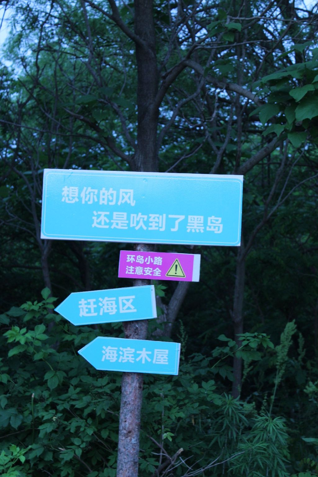 大连黑岛旅游度假区旅行图片 1