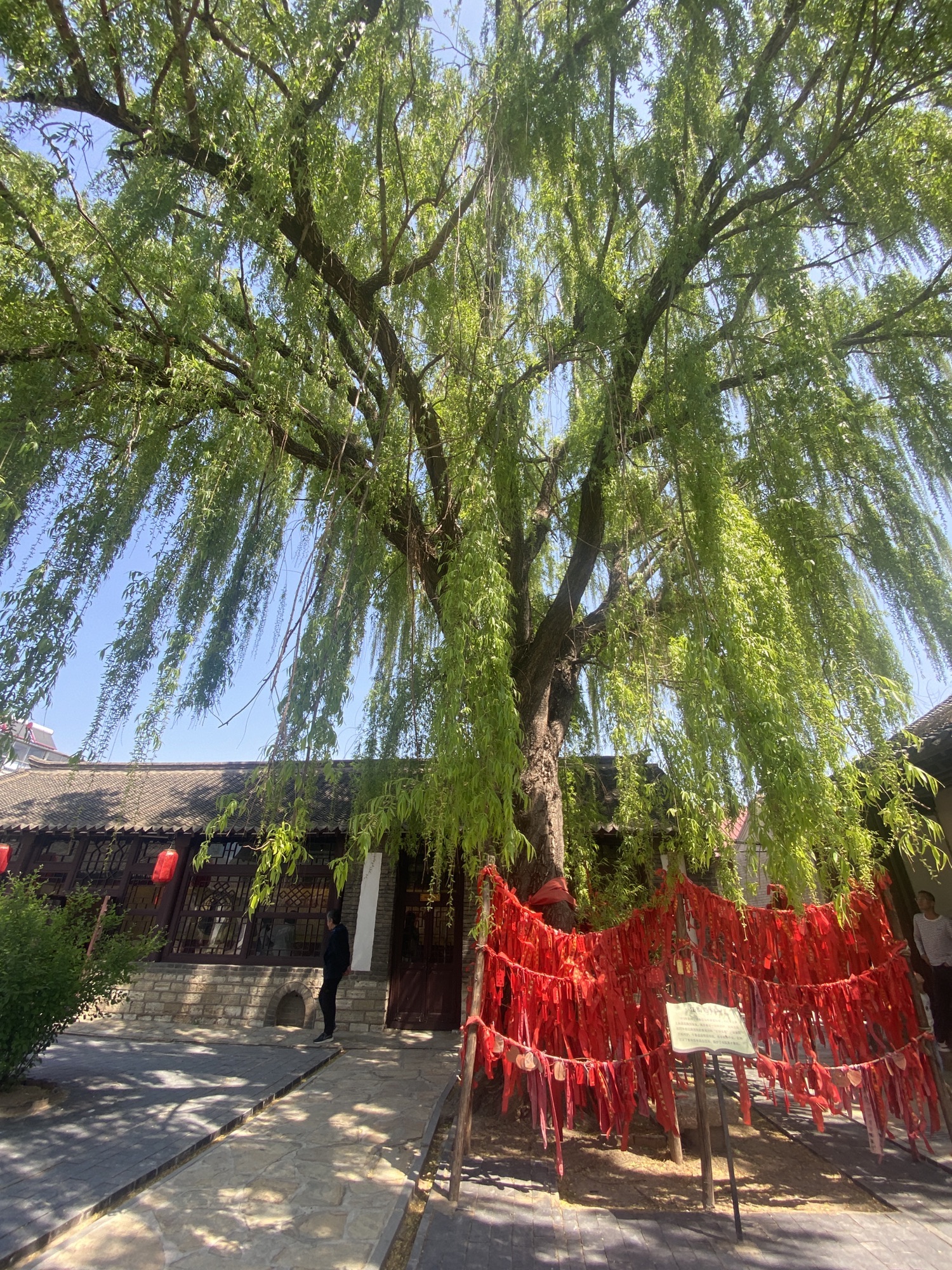 横山书院旅行图片 2