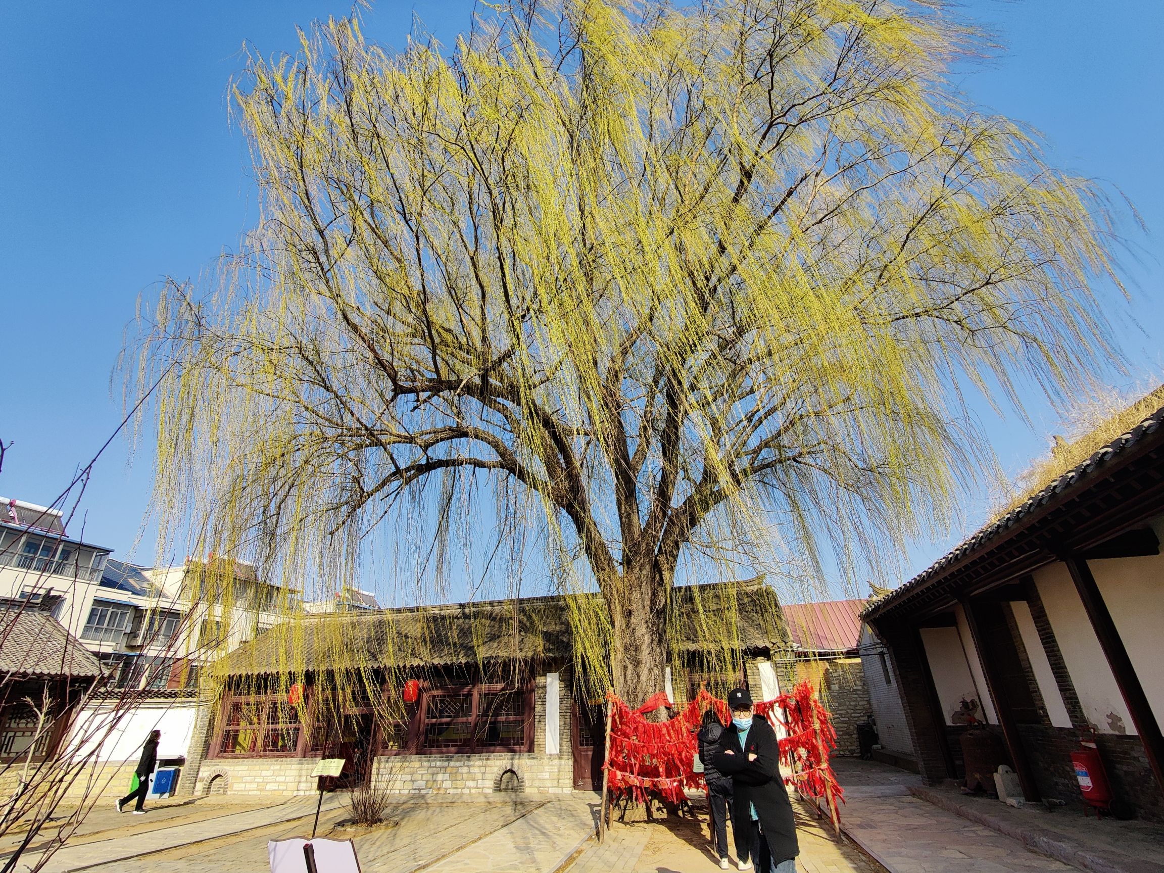 横山书院旅行图片 3