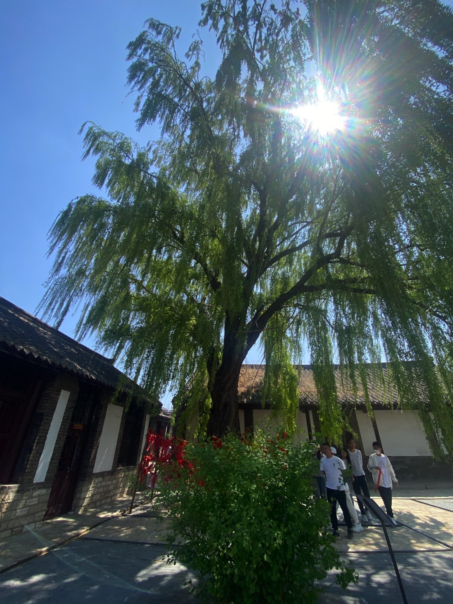 横山书院旅行图片 1