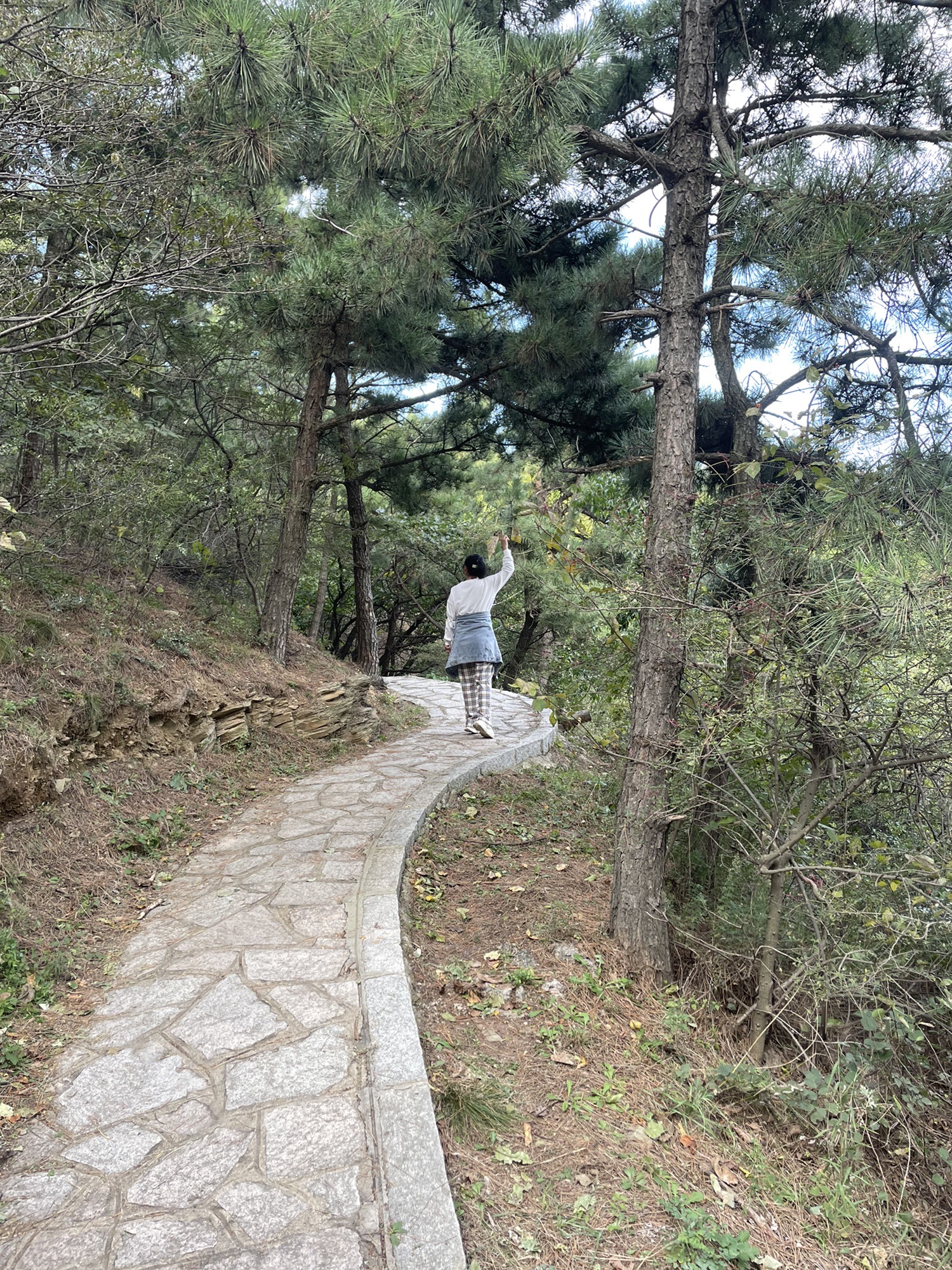 大连金龙寺国家森林公园旅行图片 2