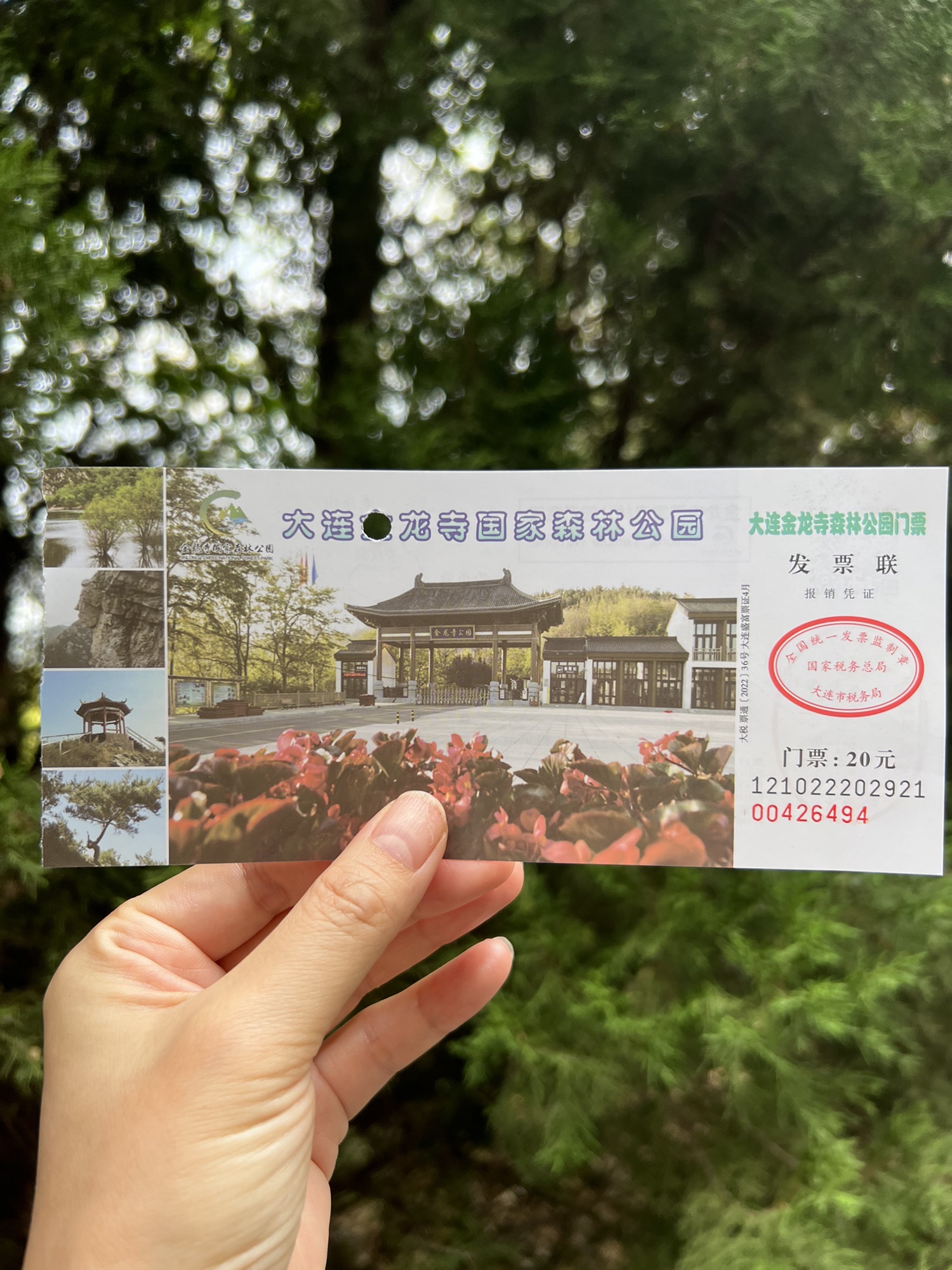 大连金龙寺国家森林公园旅行图片 1
