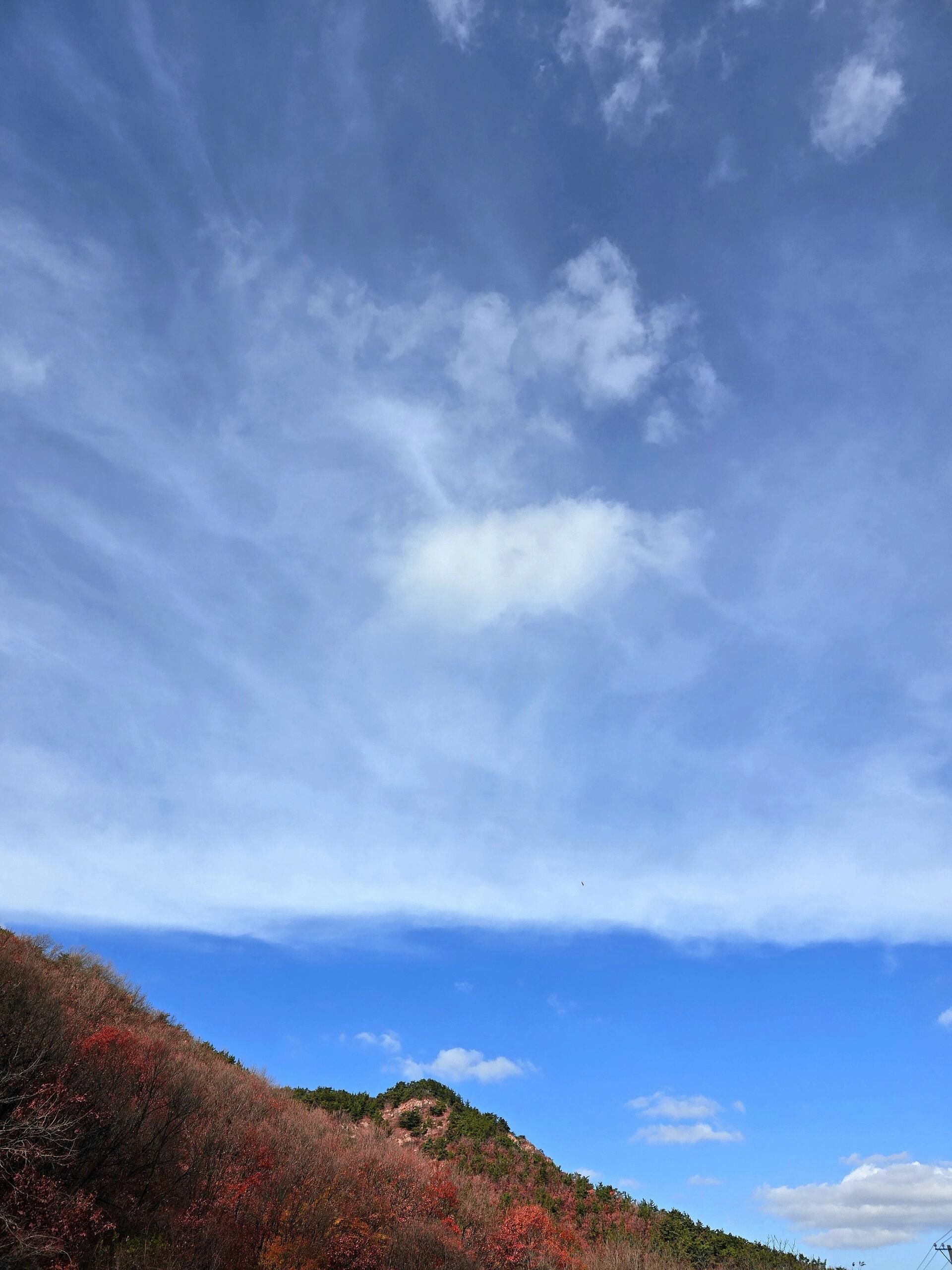 大连金龙寺国家森林公园旅行图片 3