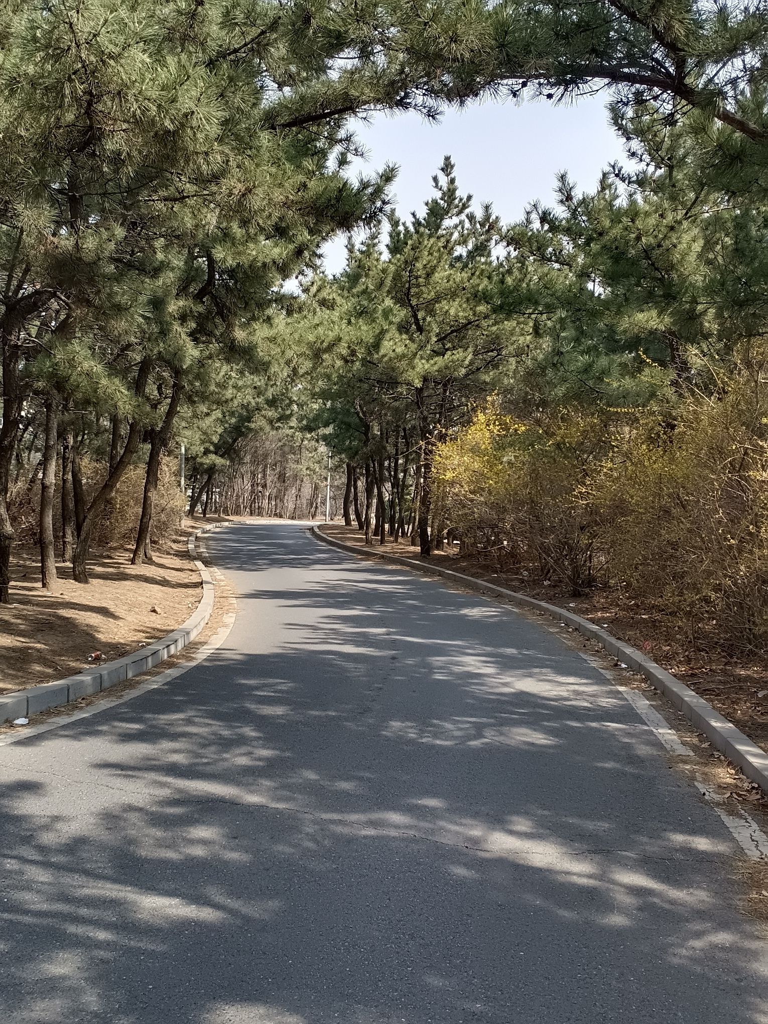 台山今冈公园旅行图片 1