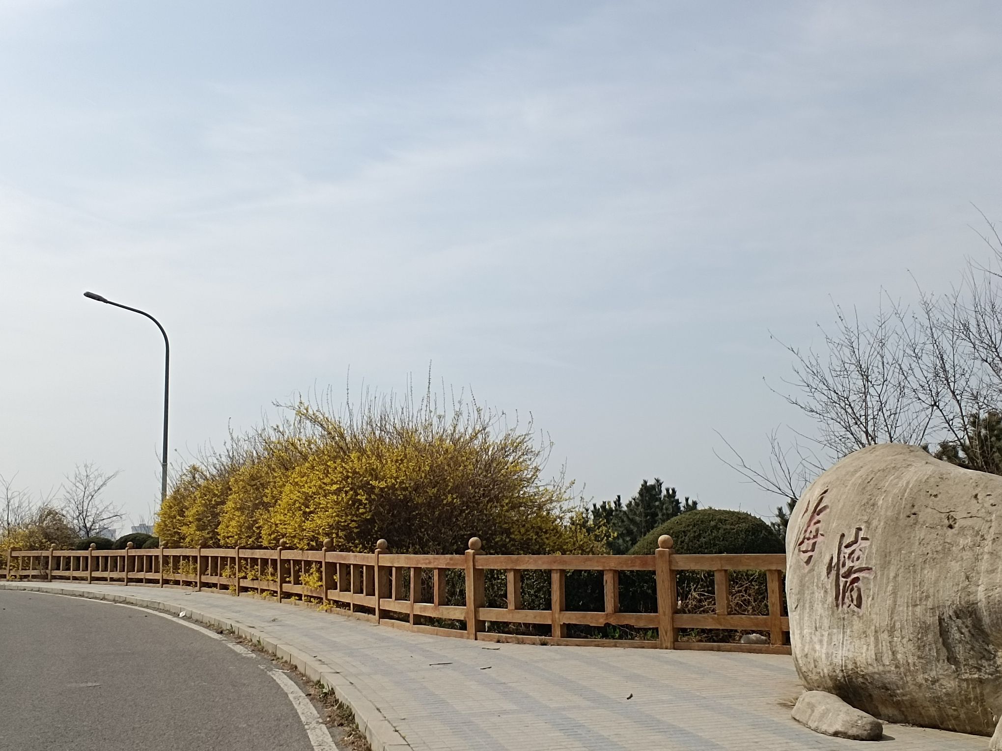 台山今冈公园旅行图片 3