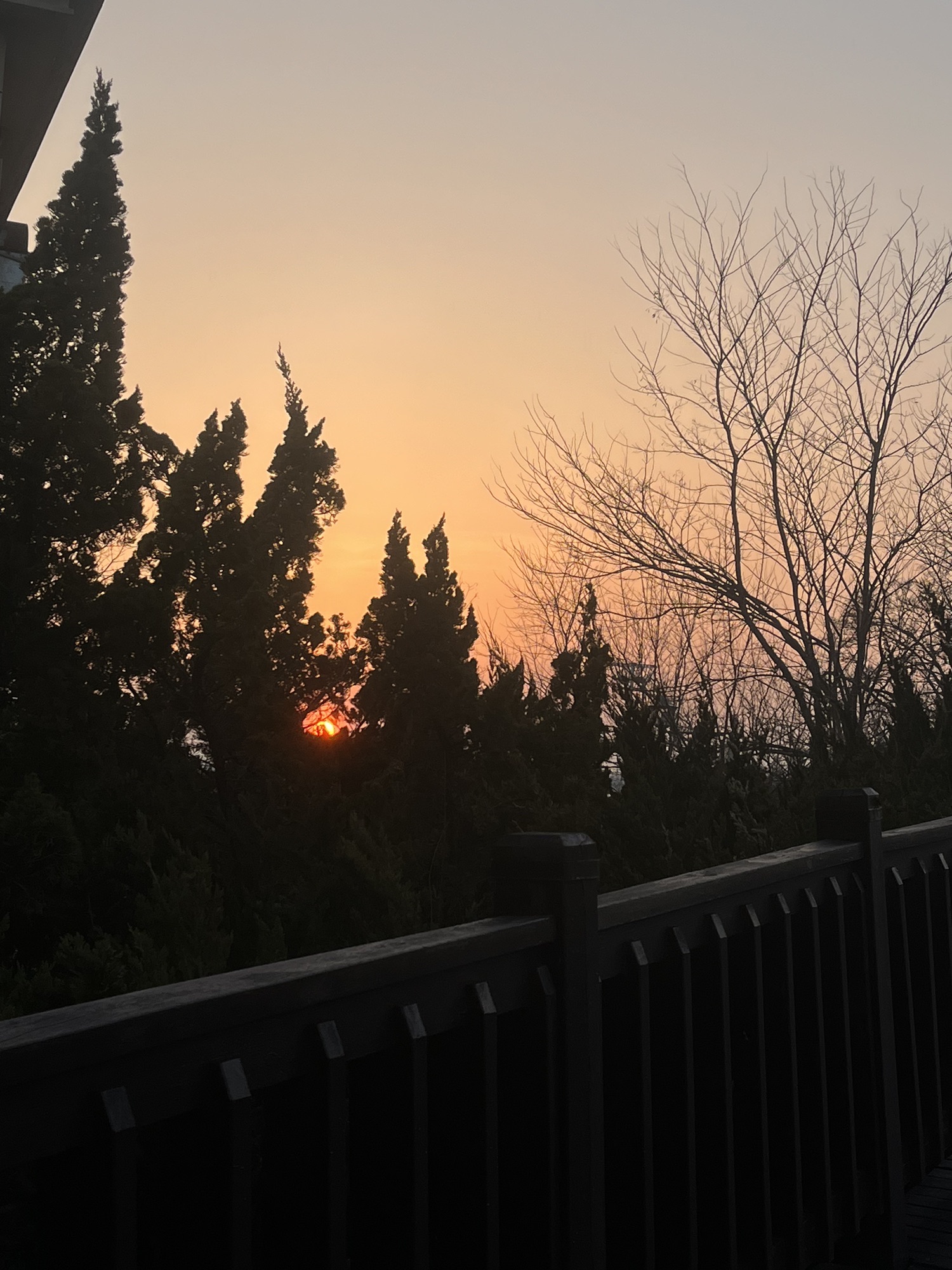 银沙滩公园旅行图片 3