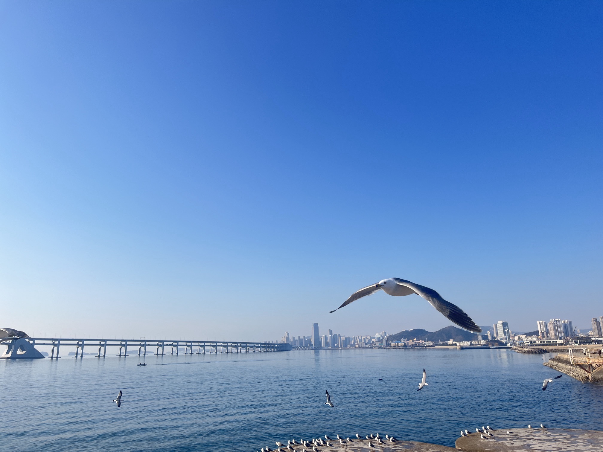 大连百年纪念城雕旅行图片 2