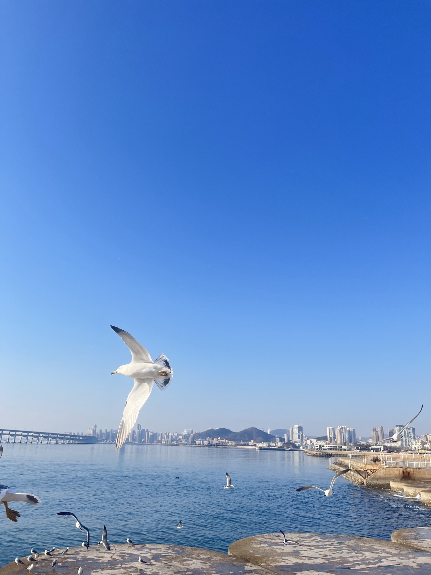 大连百年纪念城雕旅行图片 3