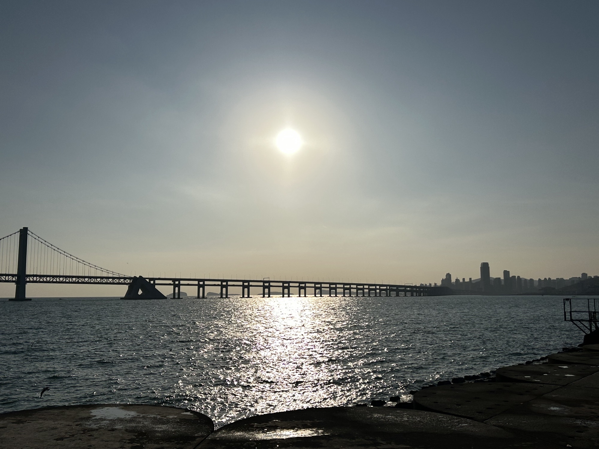 大连百年纪念城雕旅行图片 2