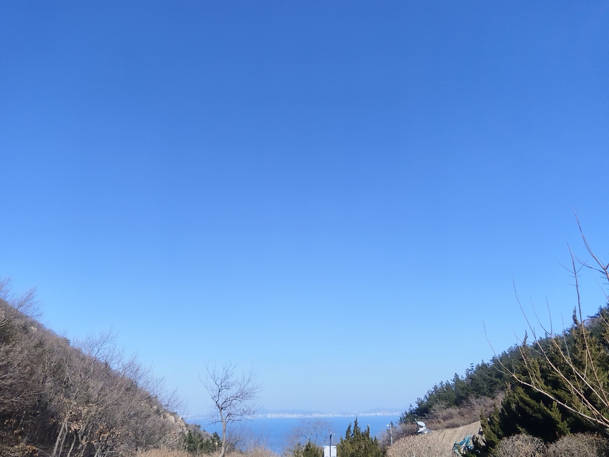 大连百年纪念城雕旅行图片 2