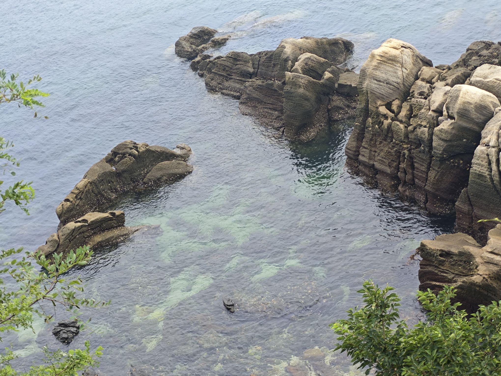 大长山岛旅行图片 3