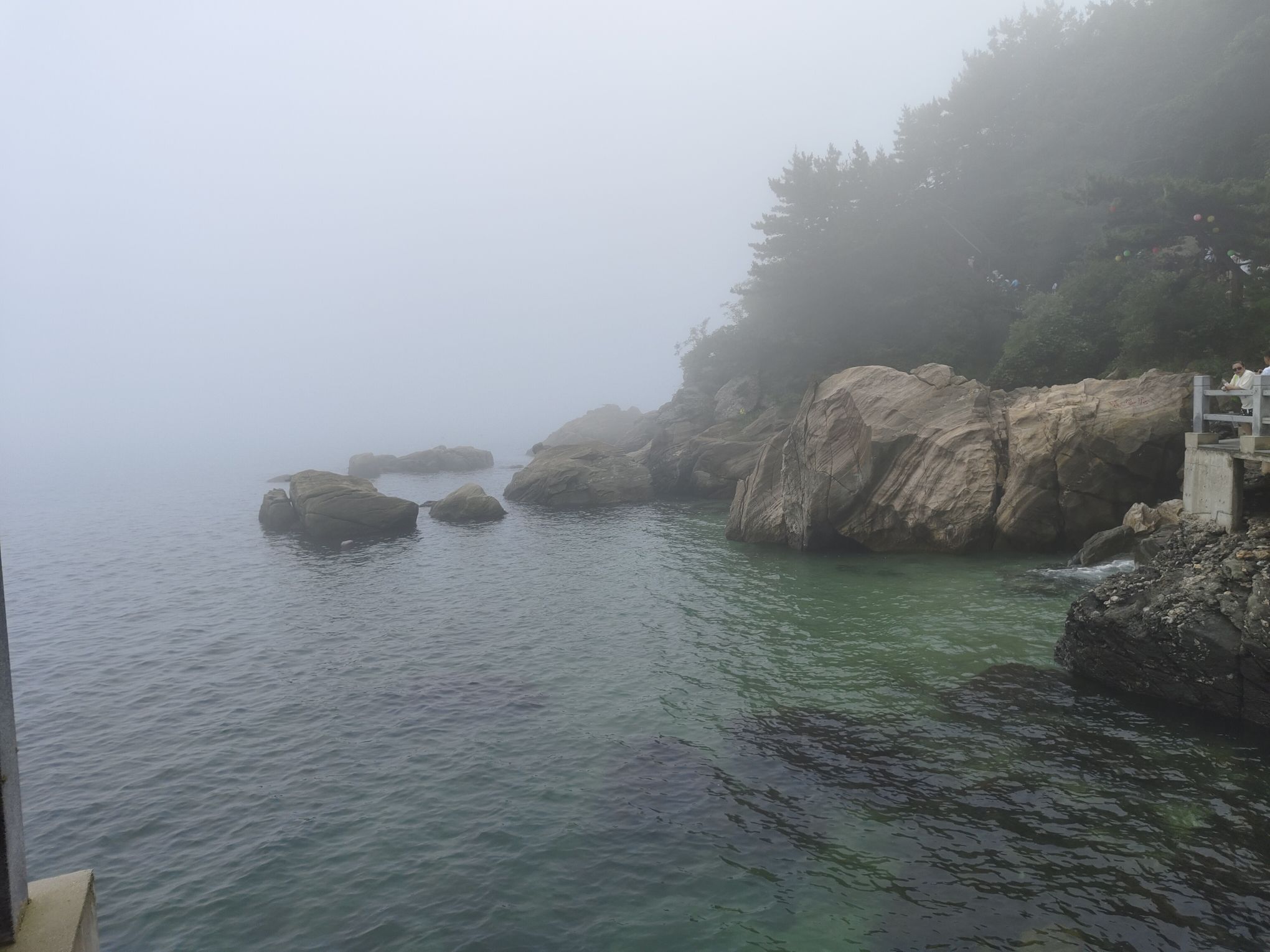 大长山岛旅行图片 1