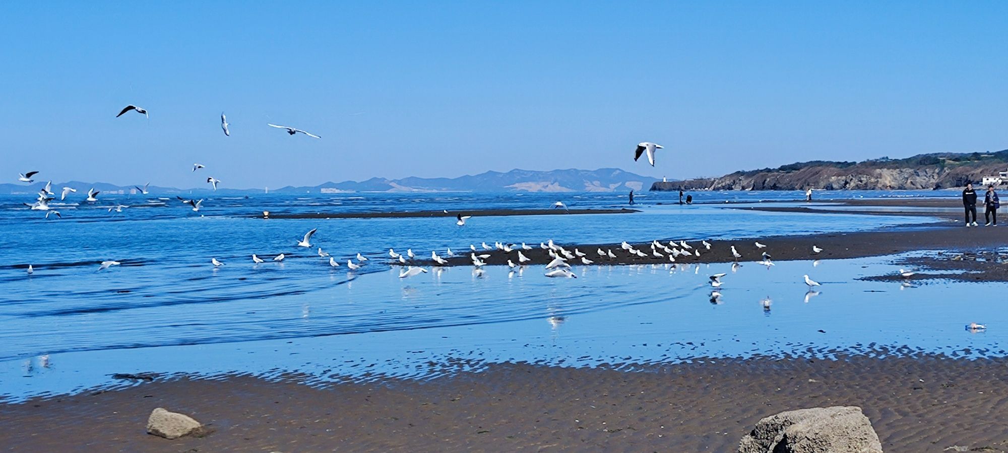 夏家河子海滨景区旅行图片 1