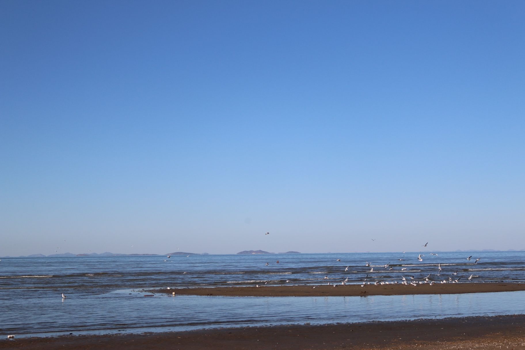 夏家河子海滨景区旅行图片 3