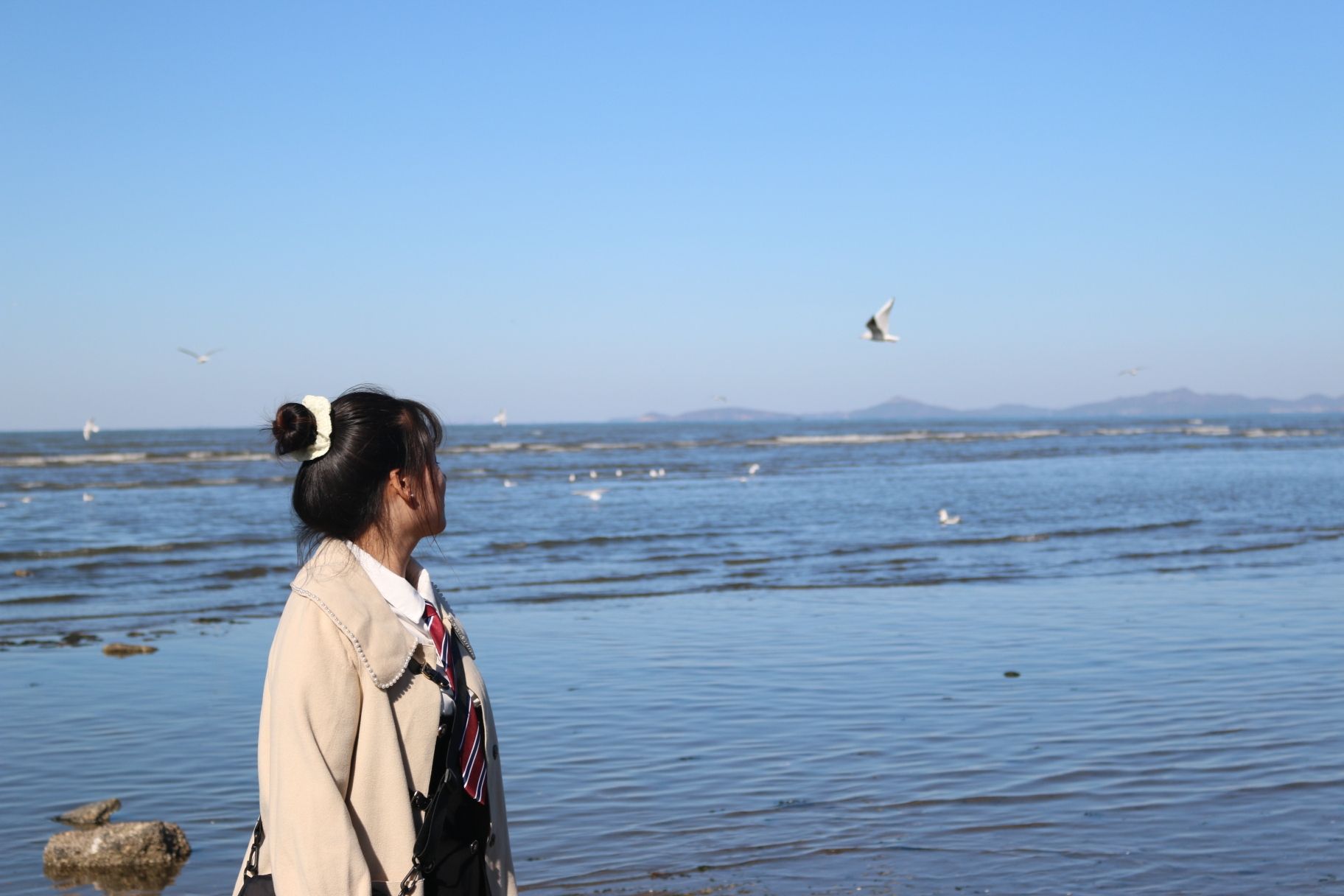 夏家河子海滨景区旅行图片 2