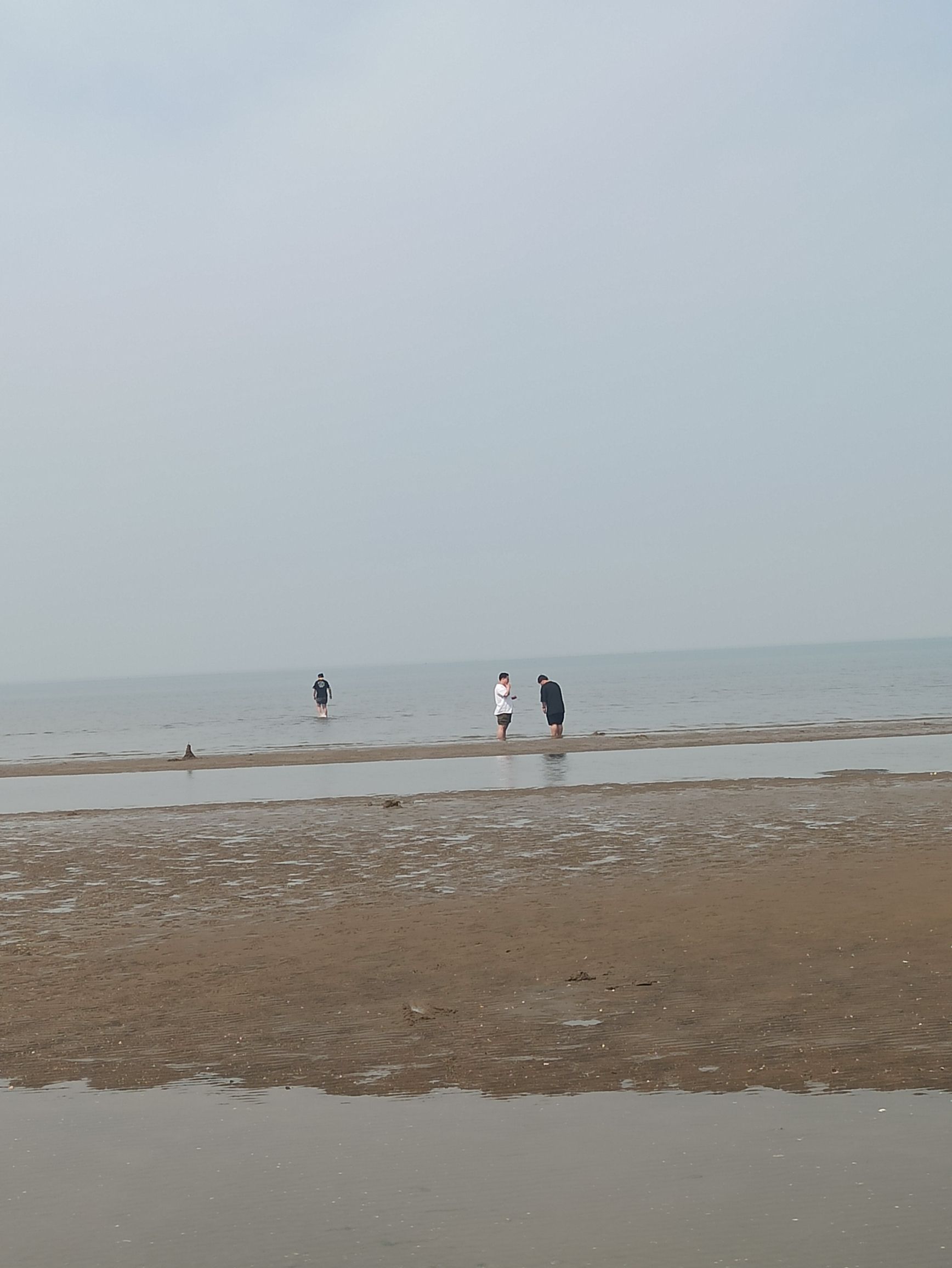 夏家河子海滨景区旅行图片 3