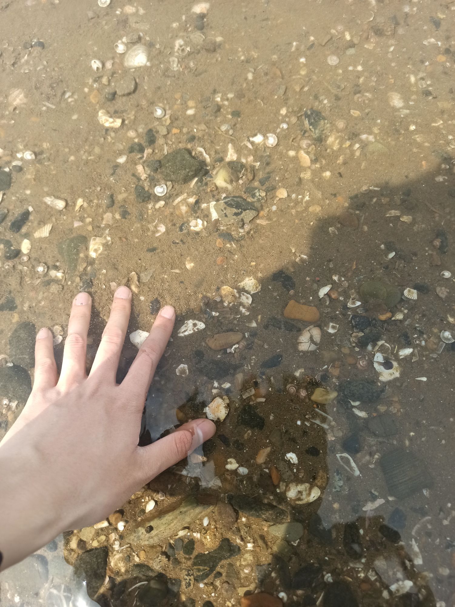 夏家河子海滨景区旅行图片 2