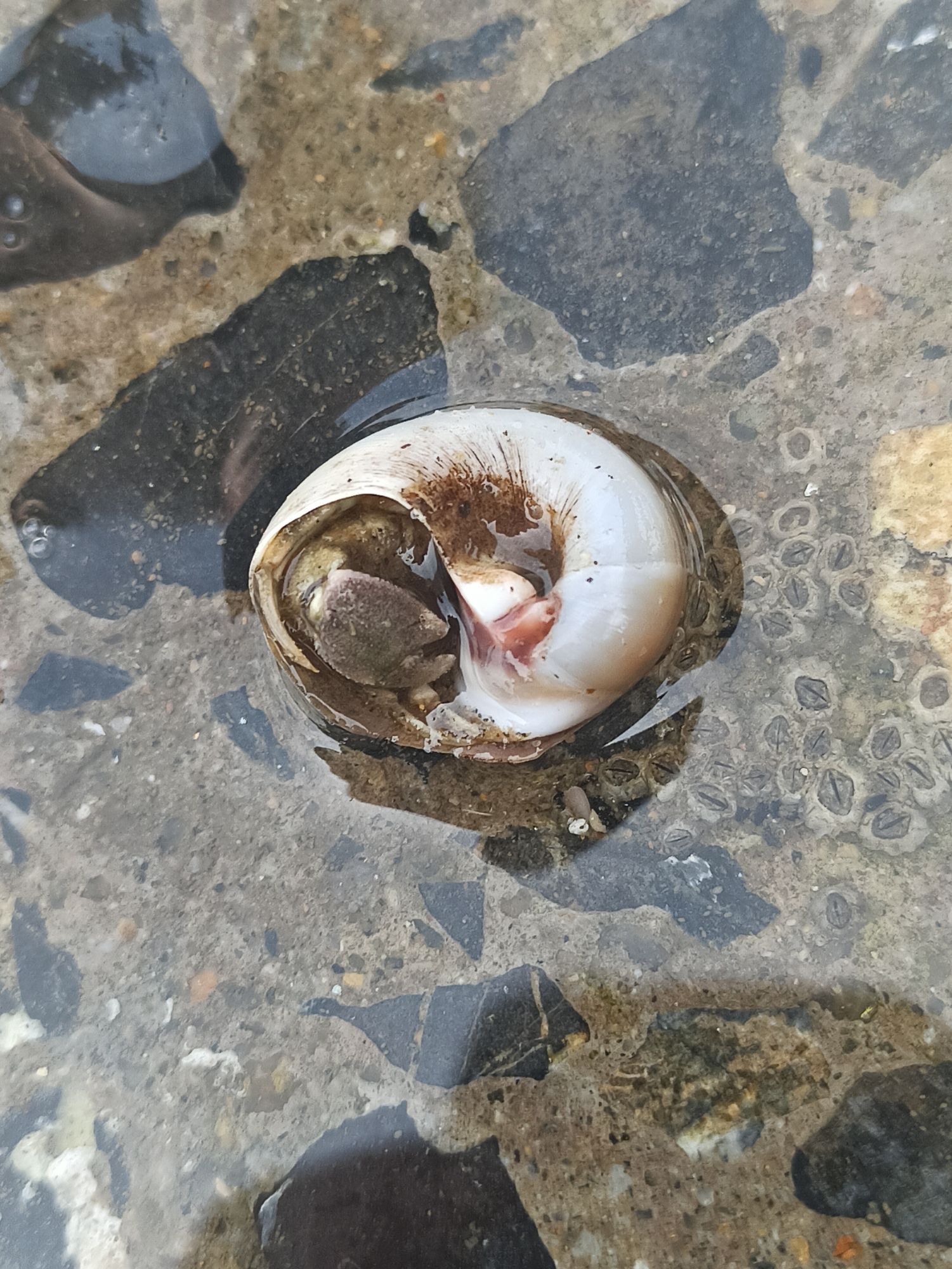 夏家河子海滨景区旅行图片 1