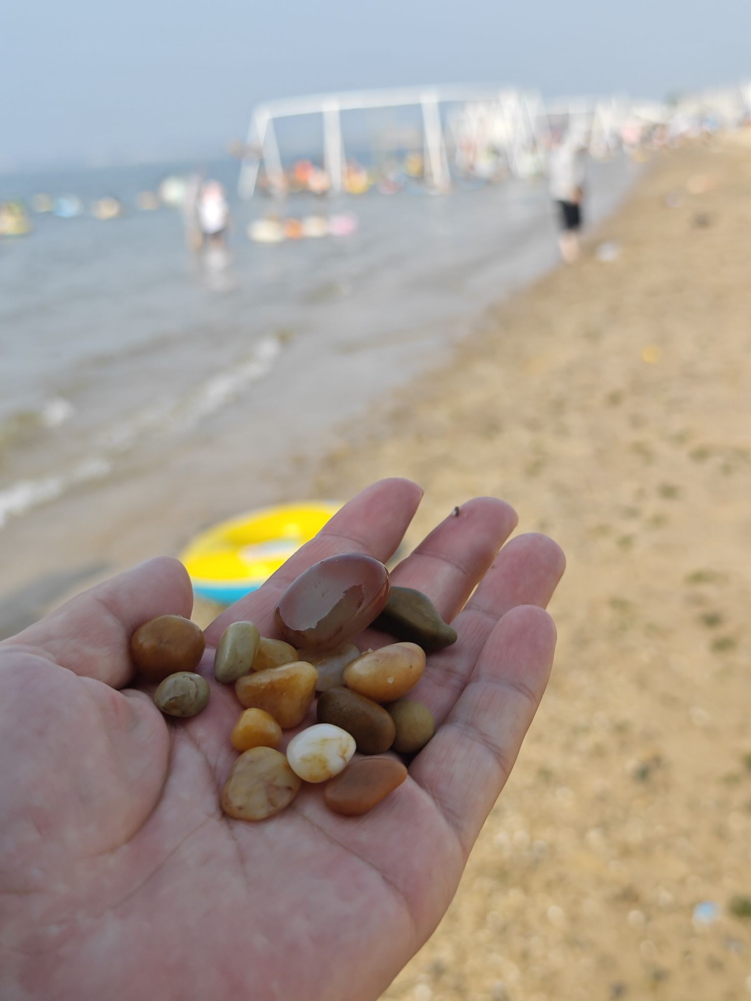 长兴岛长琴海岸旅行图片 2