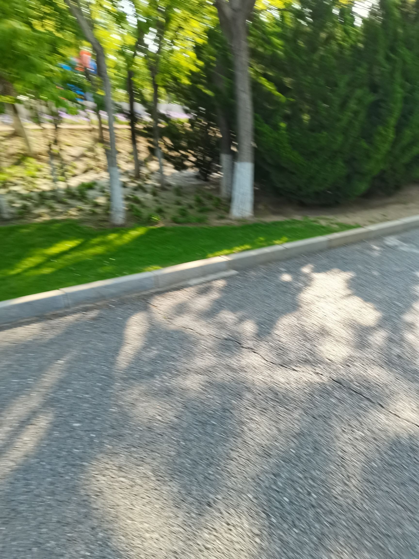 周北公园旅行图片 3