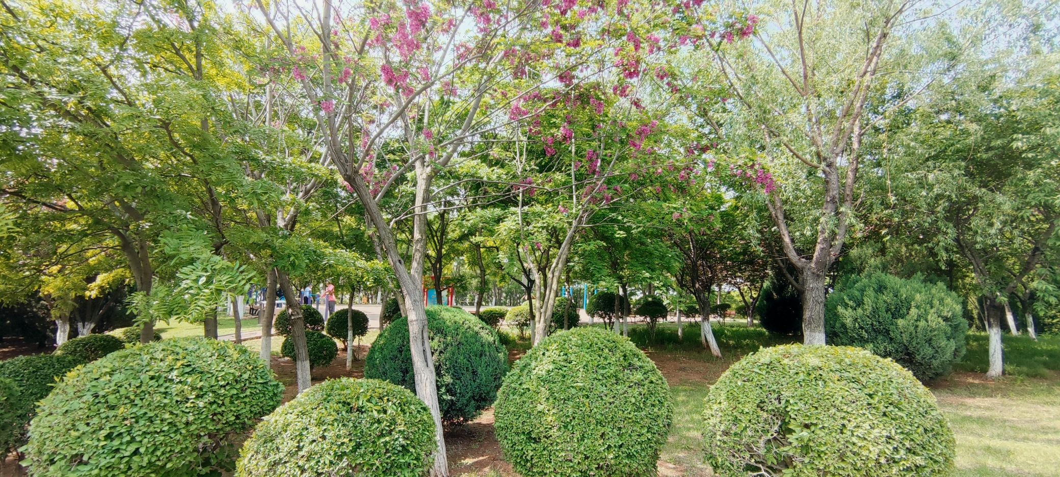 周北公园旅行图片 3