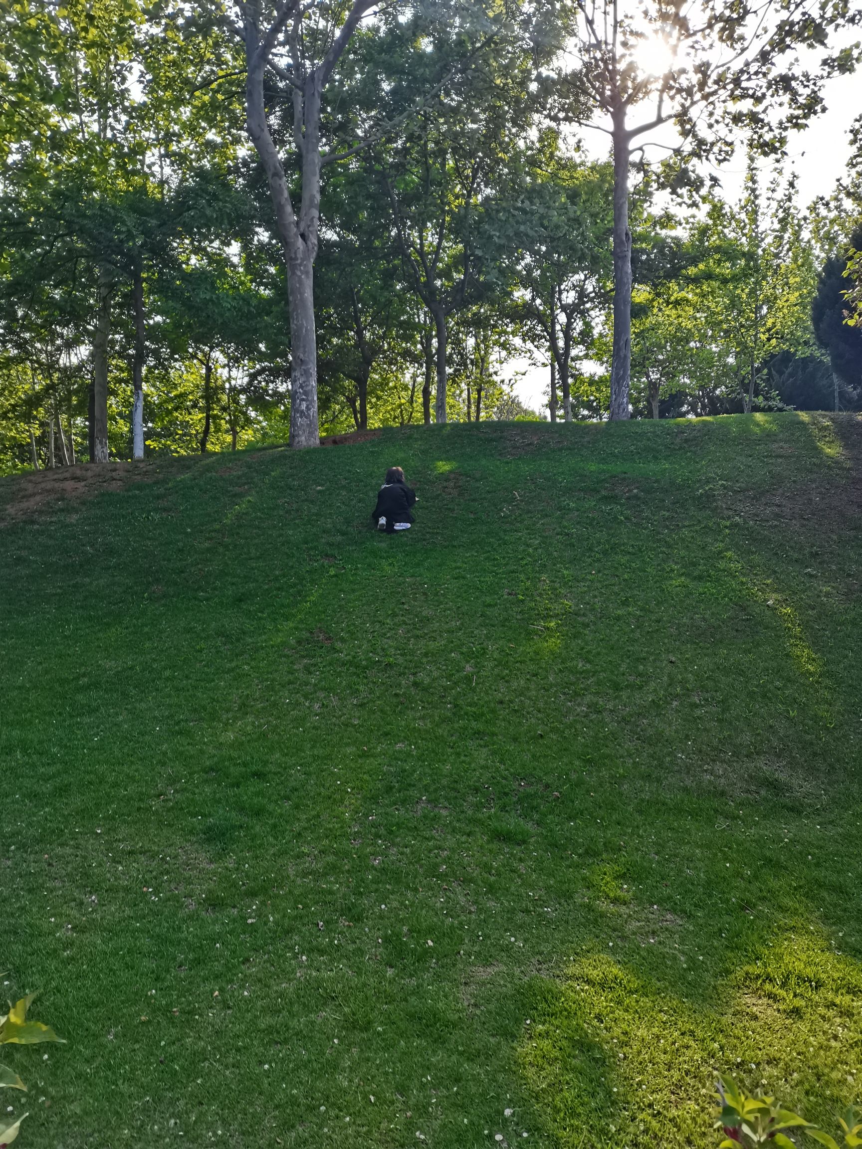周北公园旅行图片 1