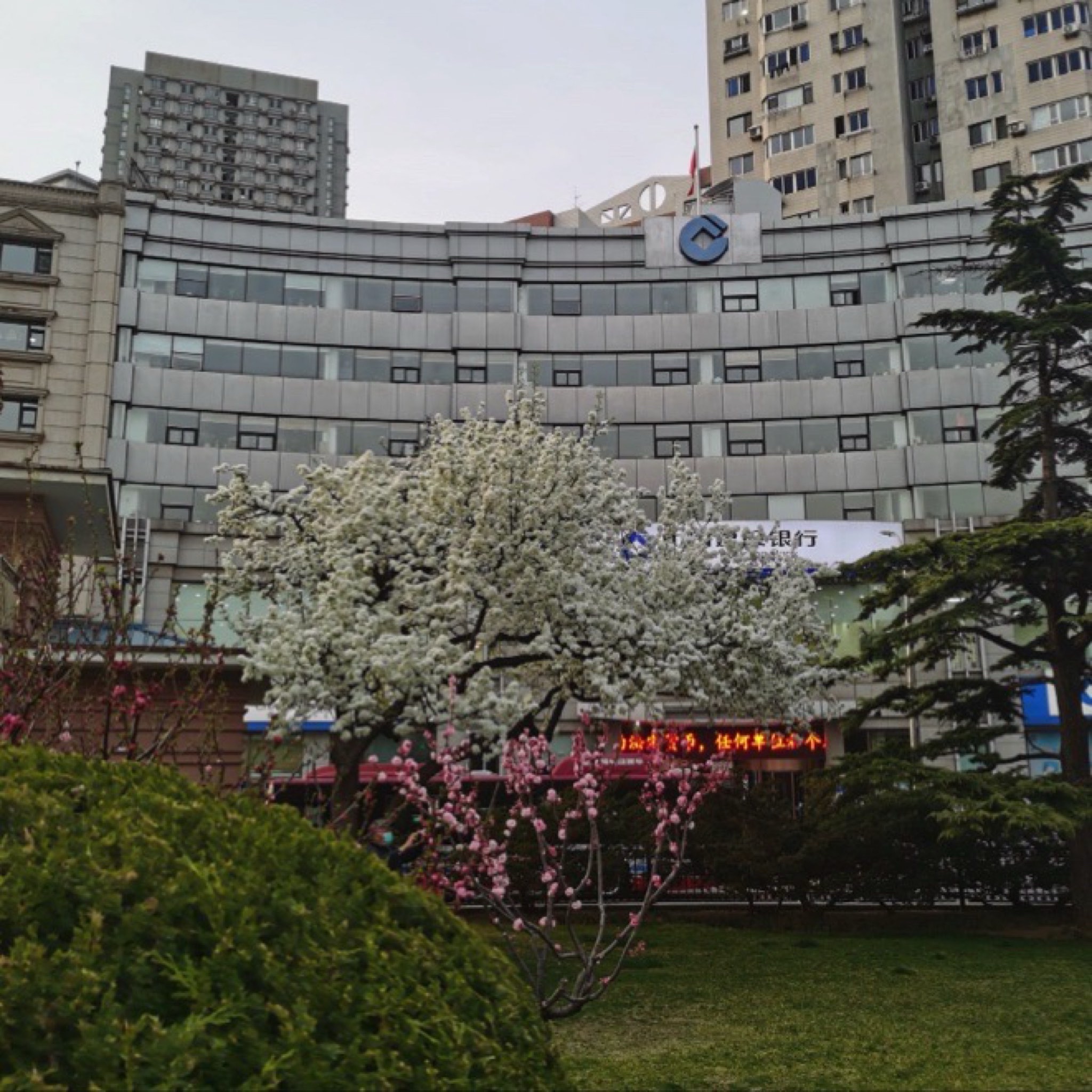 五四广场旅行图片 2