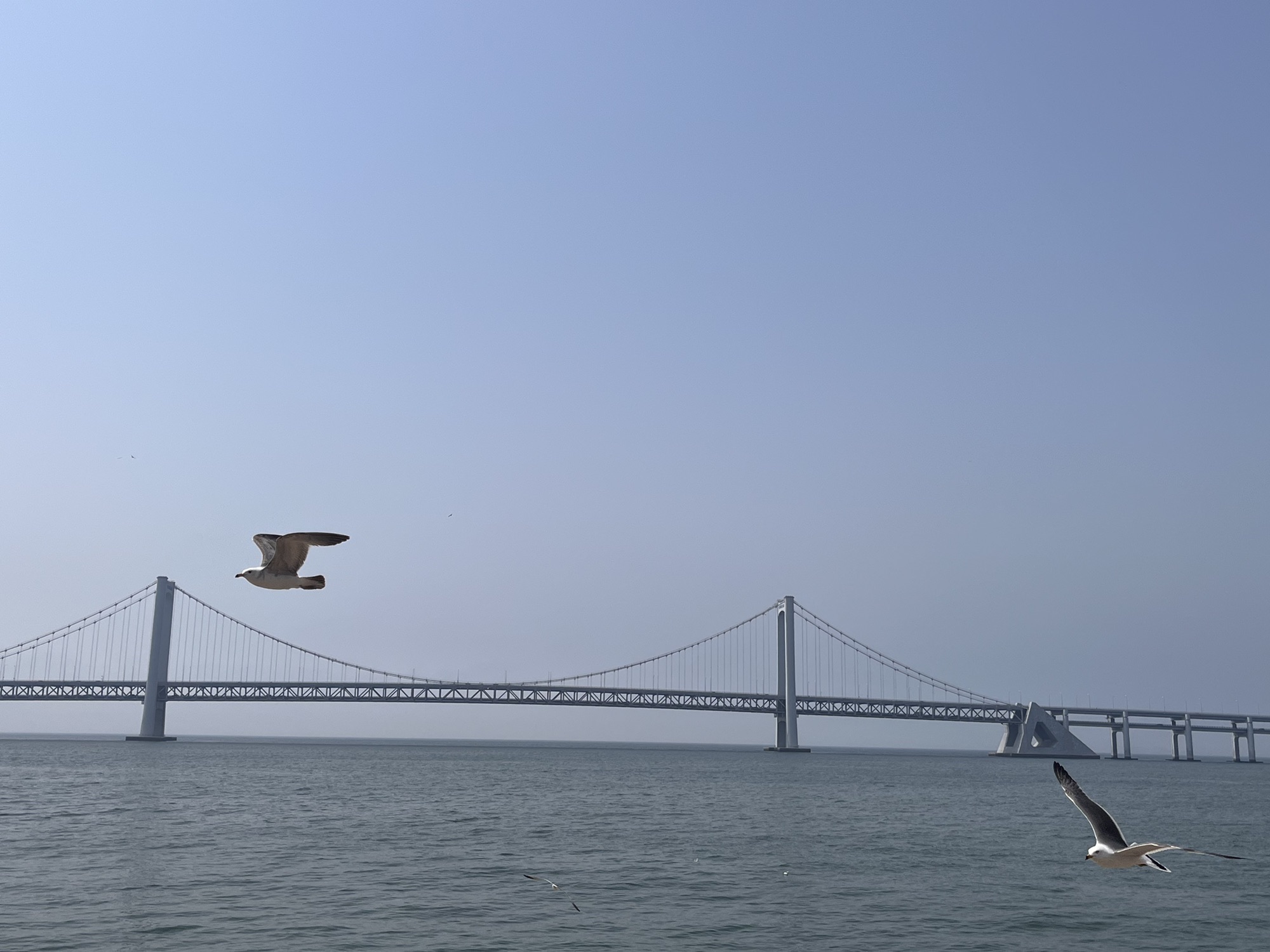 星海广场旅行图片 2