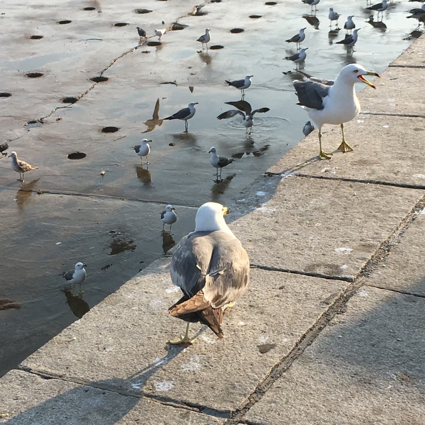星海广场旅行图片 2