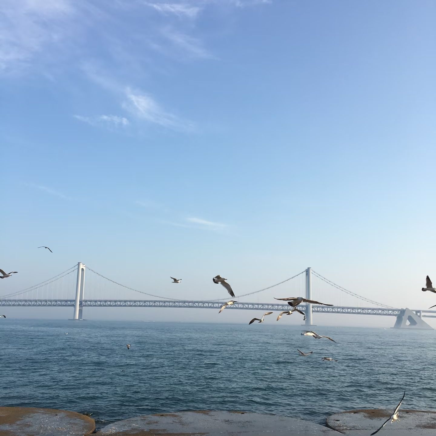星海广场旅行图片 3
