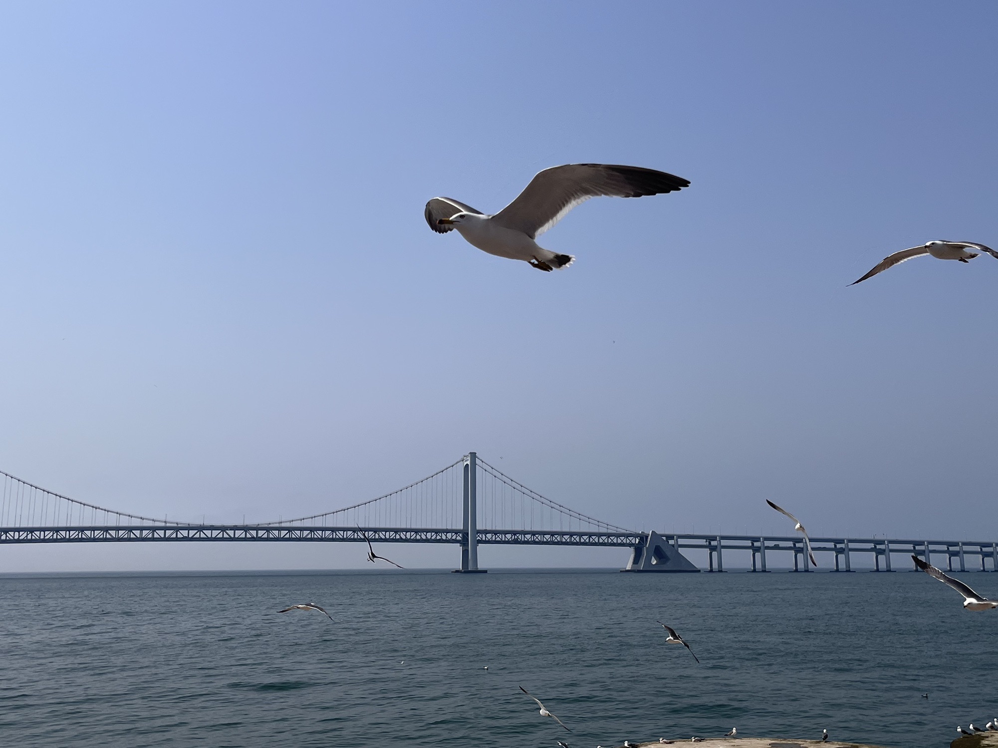 星海广场旅行图片 1