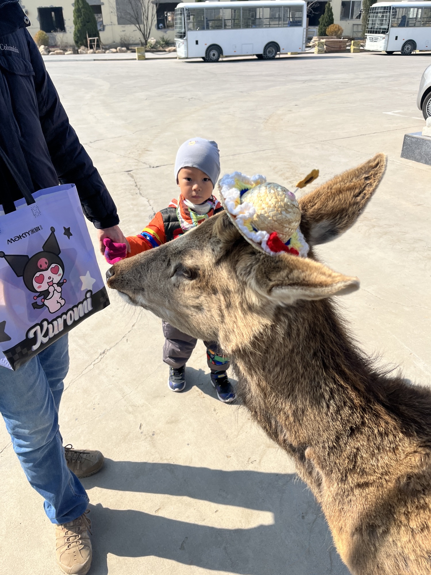 大连狮虎园旅行图片 2
