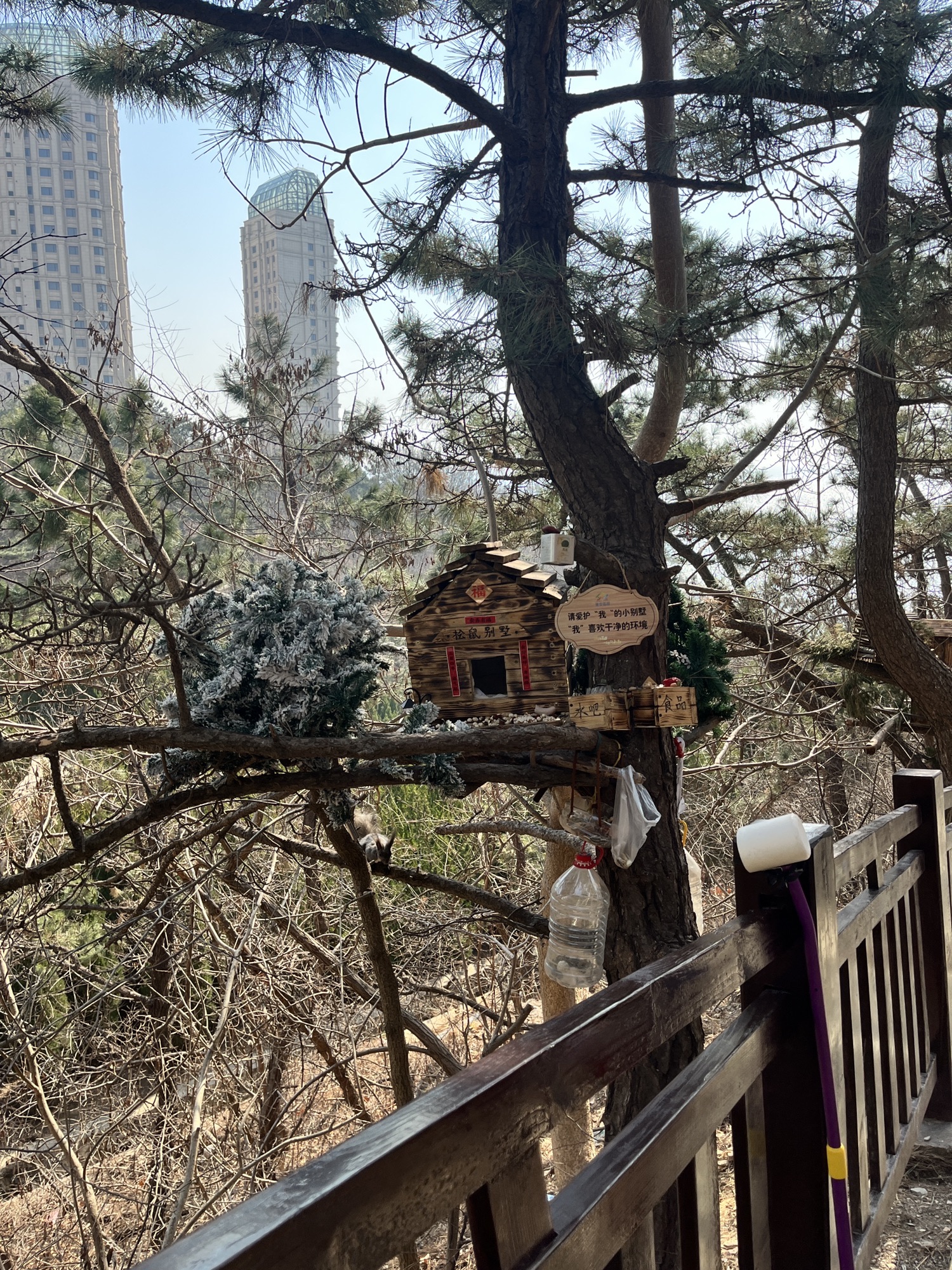 大连狮虎园旅行图片 3