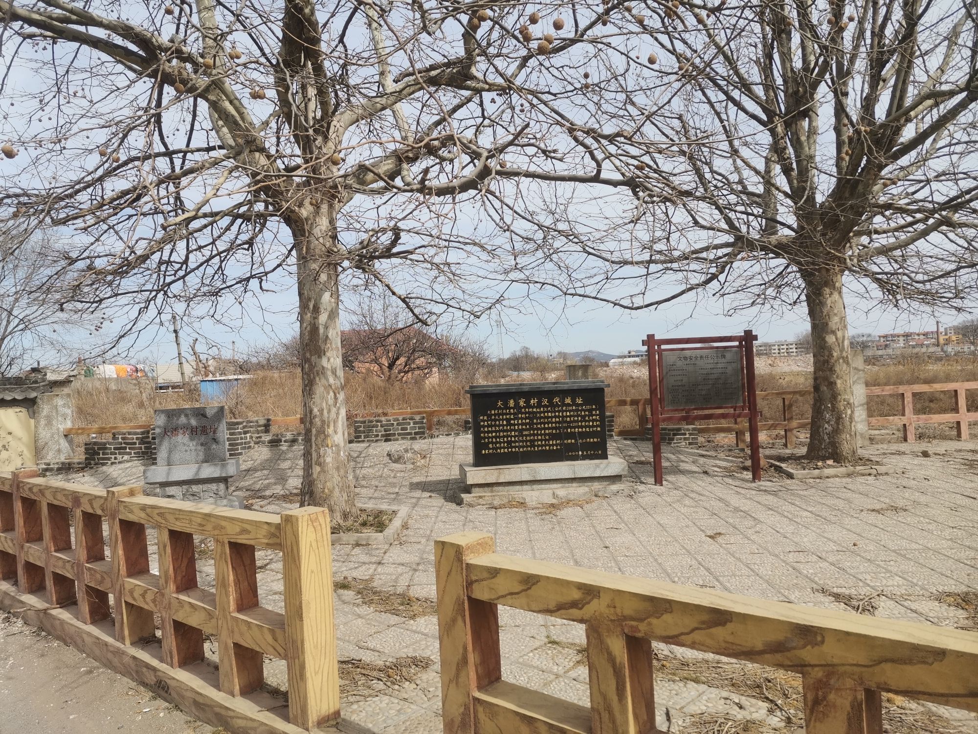 大潘家村汉代城址旅行图片 3