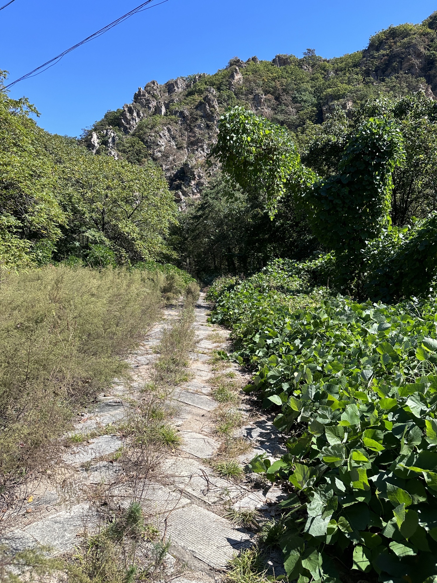大连冰峪省级旅游度假区(暂停开放)旅行图片 2